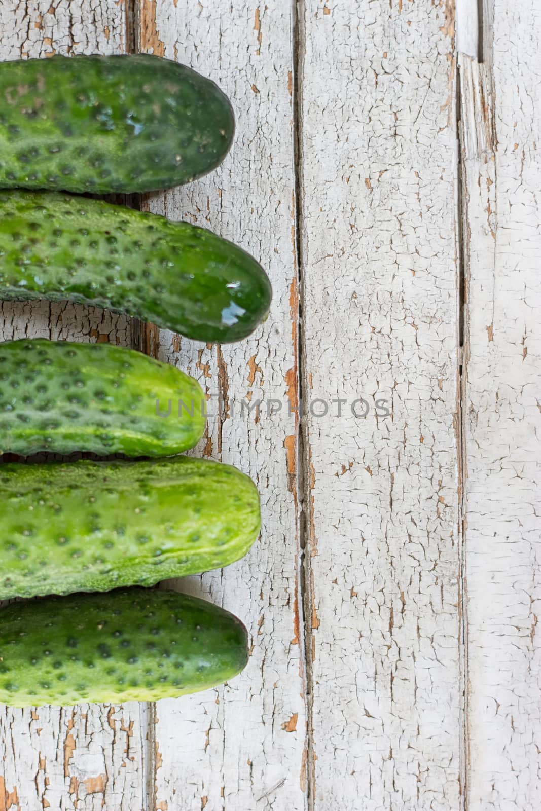 Cucumbers on white background by victosha