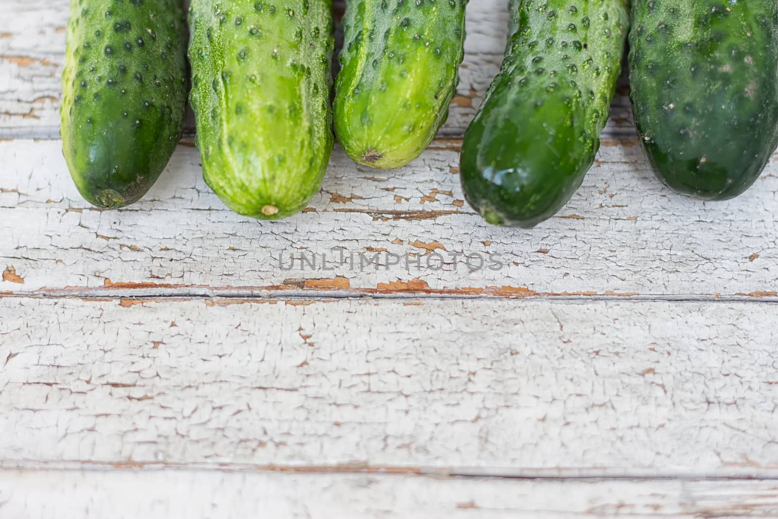 Cucumbers, mini cucumber on the white background