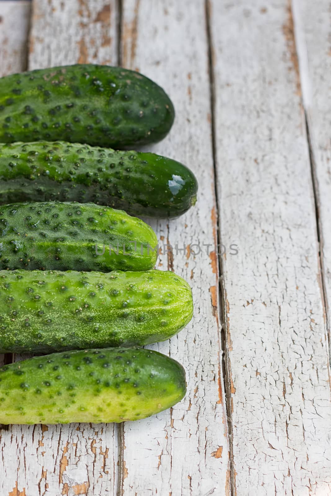 Cucumbers on white background by victosha