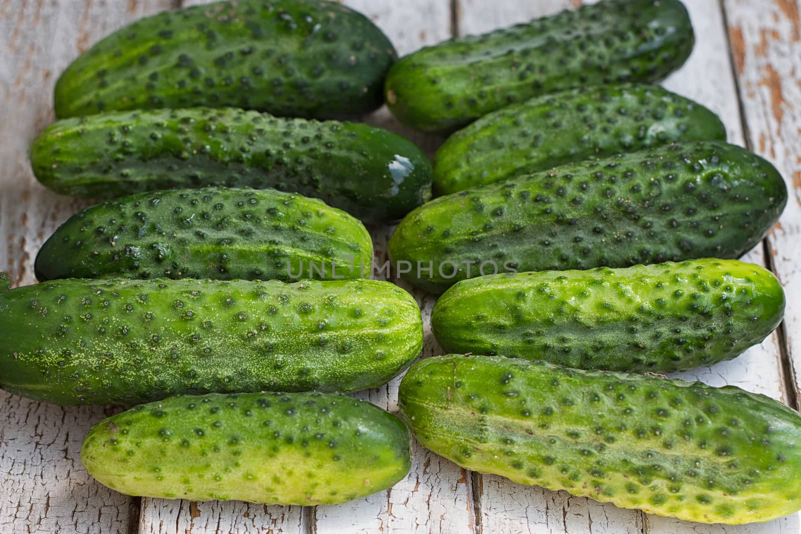 Cucumbers, mini cucumber on the white background