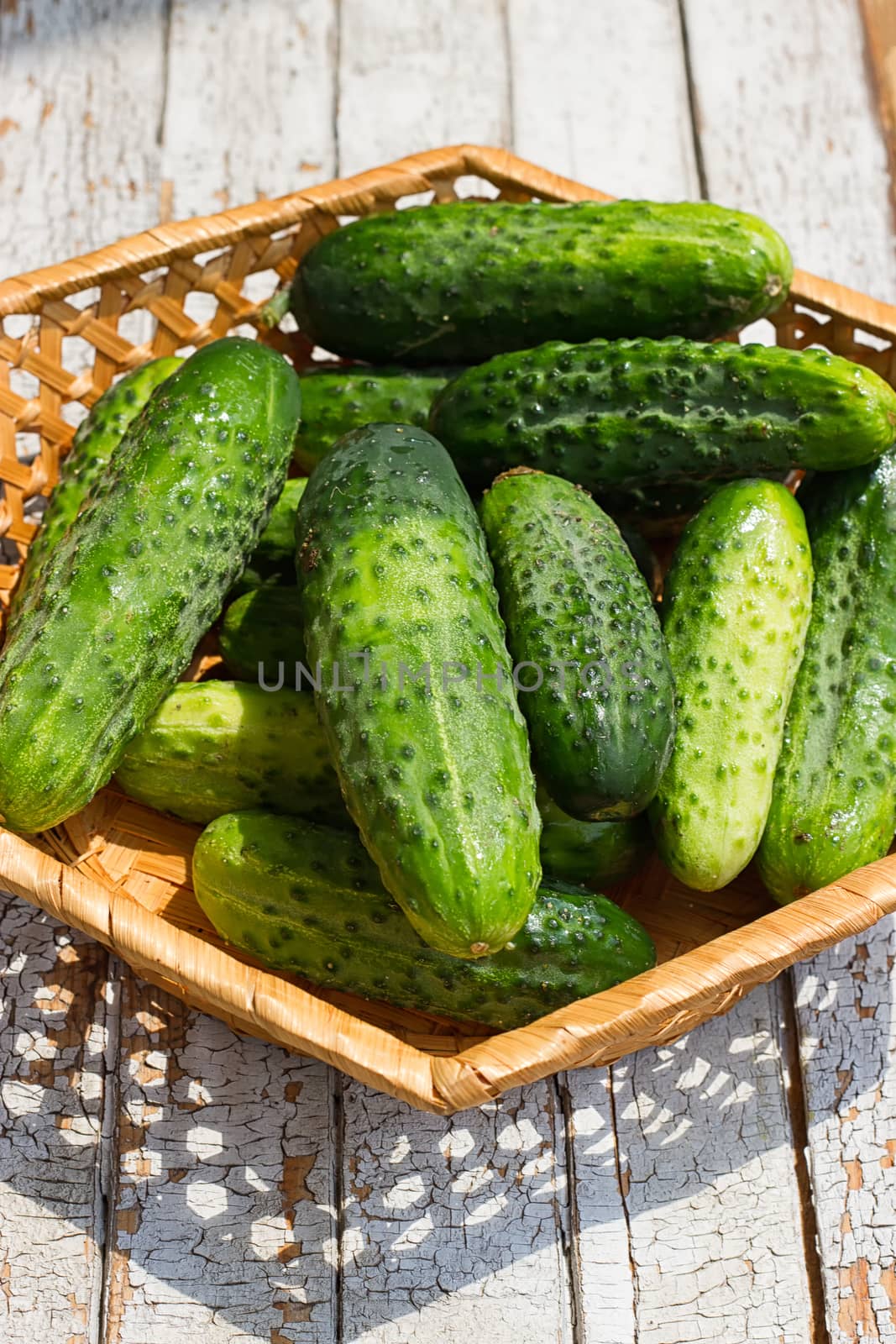 Cucumber basket on the white wooden background