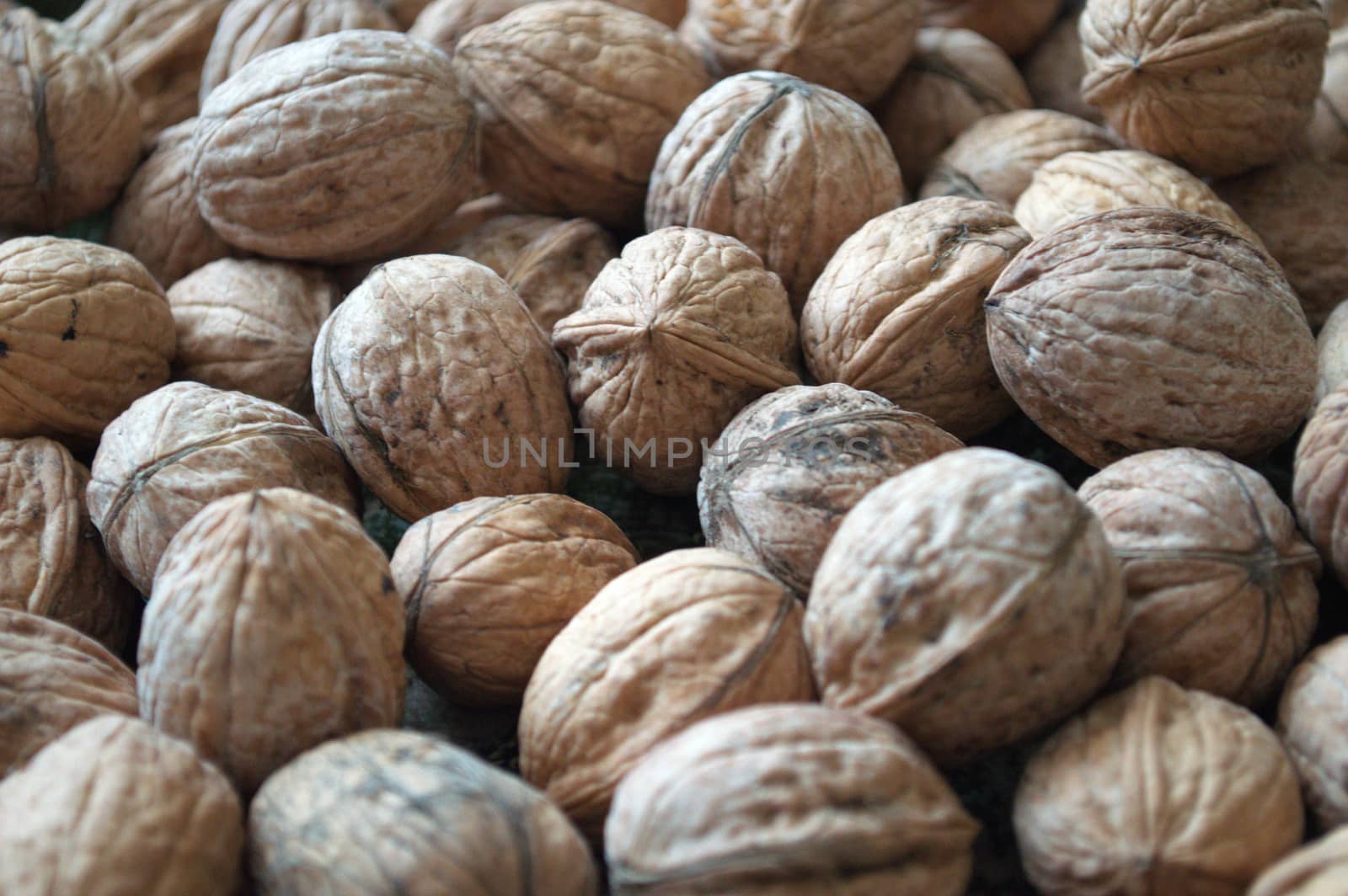 background with walnuts