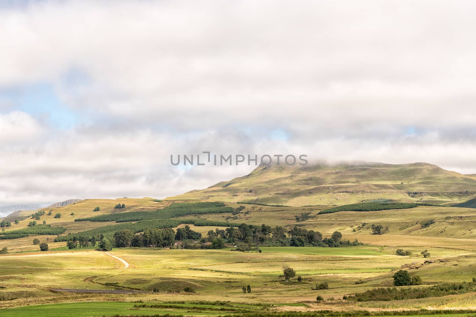 A farm landscape on the R617-road between Underberg and Kokstad in the Kwazulu-Natal Province