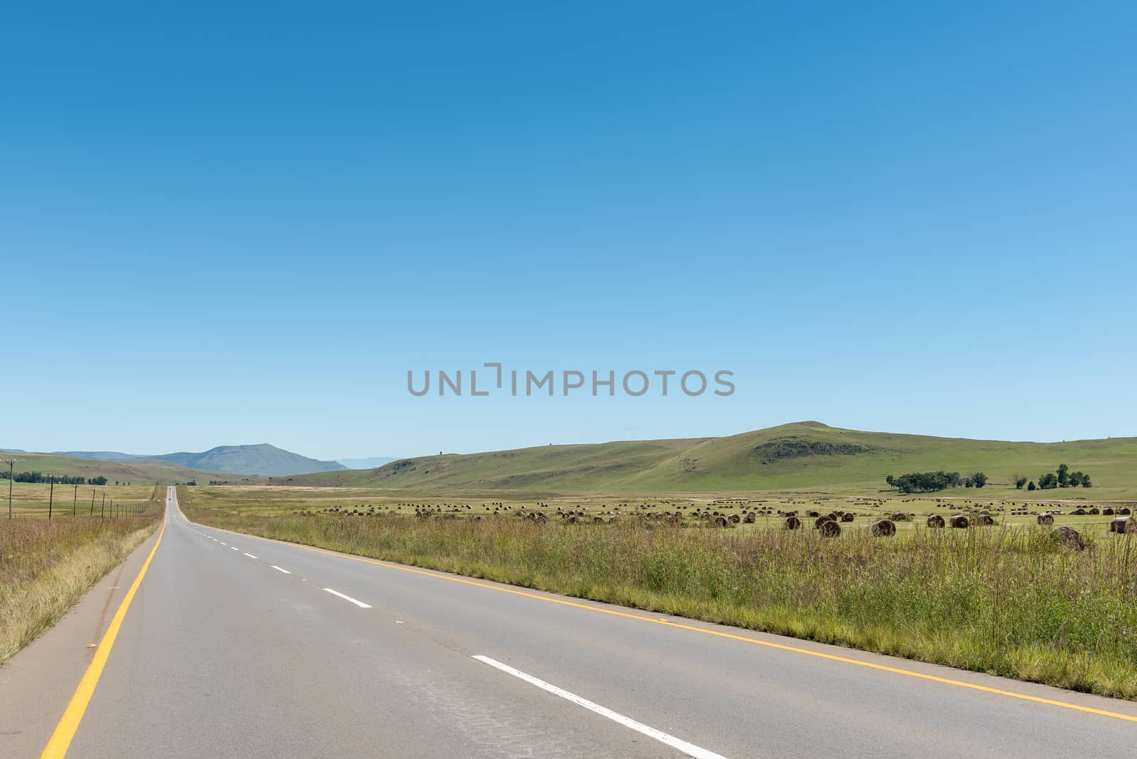 A farm landscape with bales of grass next to road-R56 between Kokstad and Cedarville