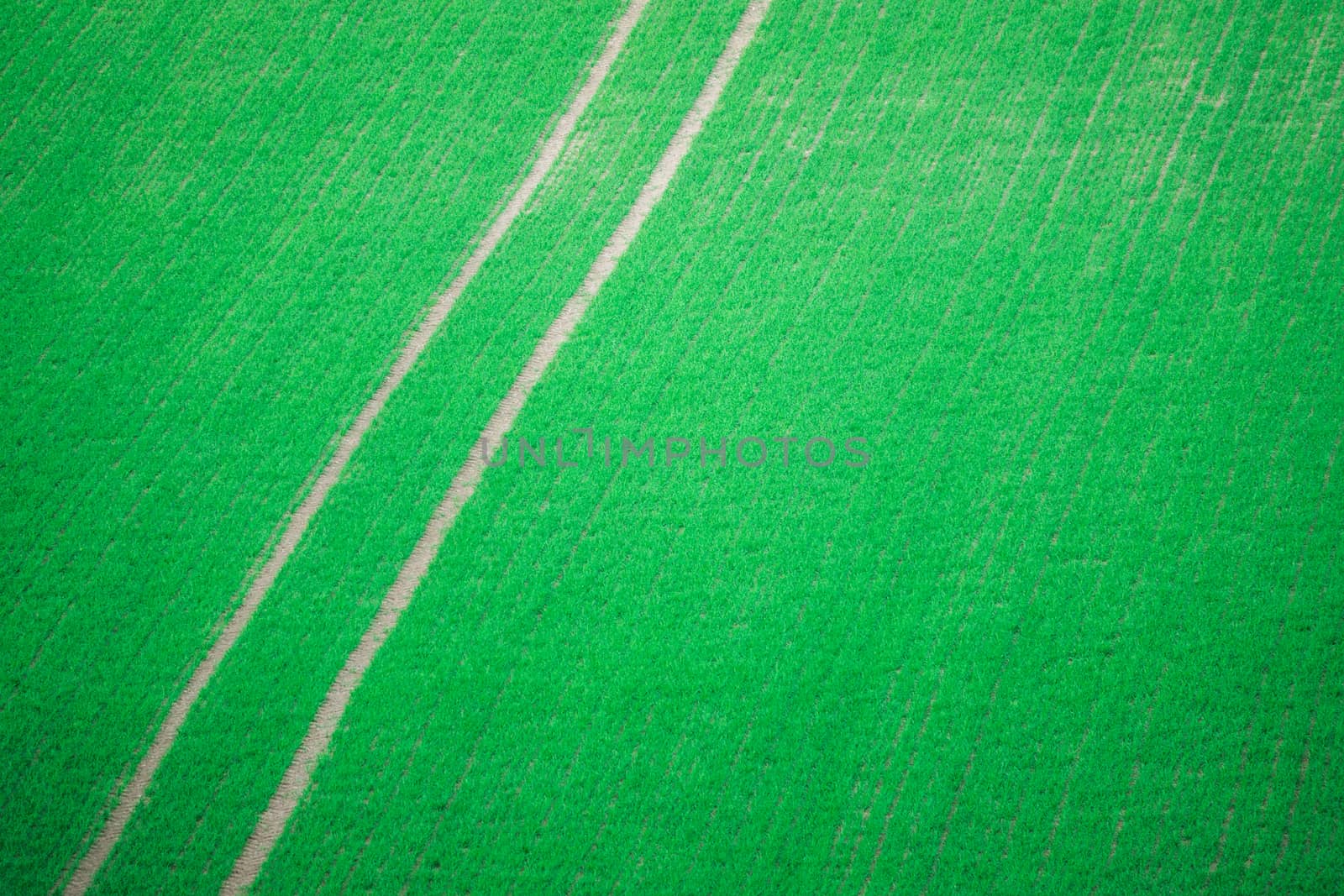 Abstract Background Texture Of Tractor Tracks Through A Field Of Crops With Copy Space