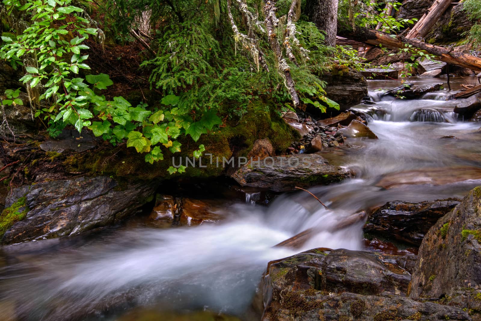 Holland Creek by phil_bird