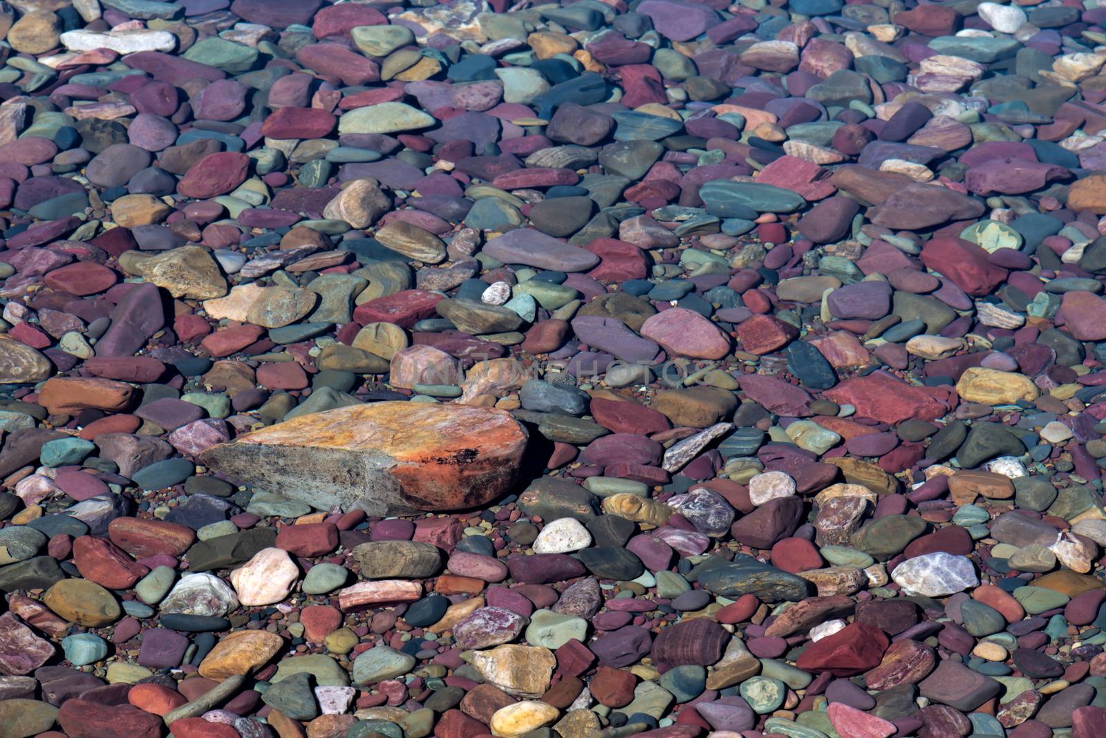 Colourful Stones in Lake McDonald