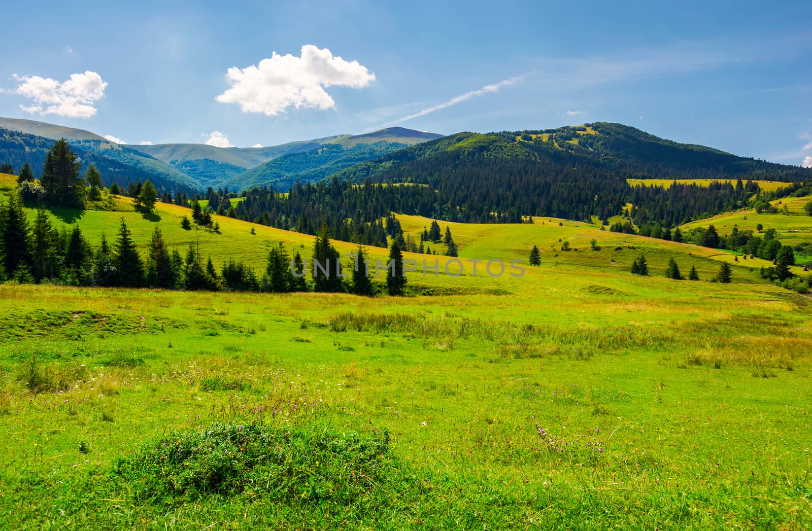 Grassy meadows of Borzhava valley by Pellinni