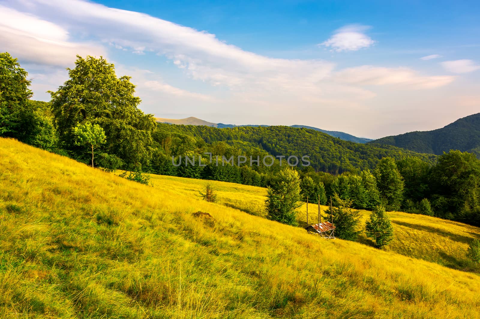 hayshed on a meadow among the beech forest by Pellinni