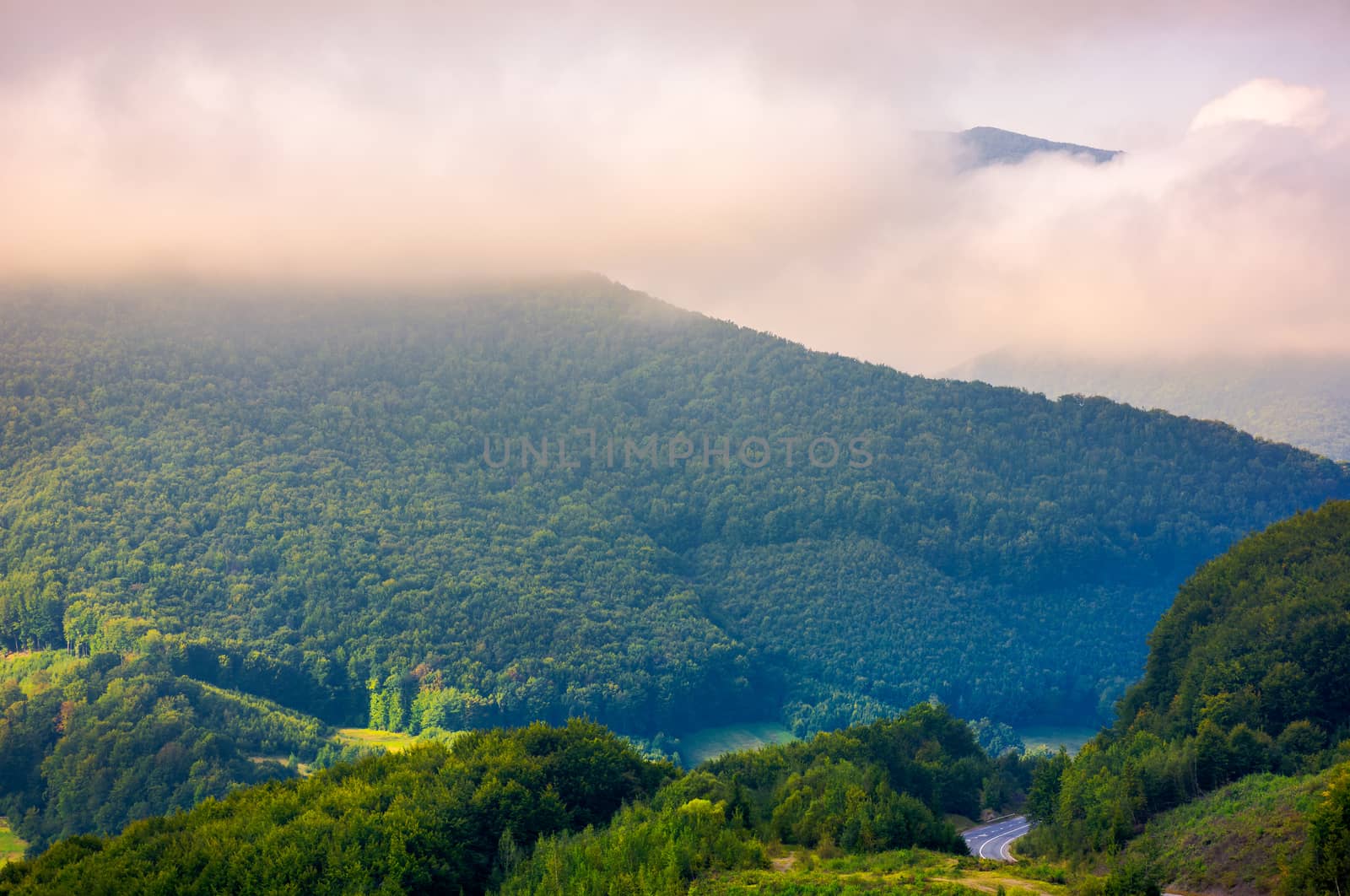 beautiful mountain landscape in low clouds by Pellinni