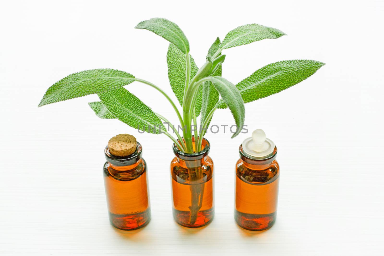 Natural sage essential oil with sage leaves on white background.