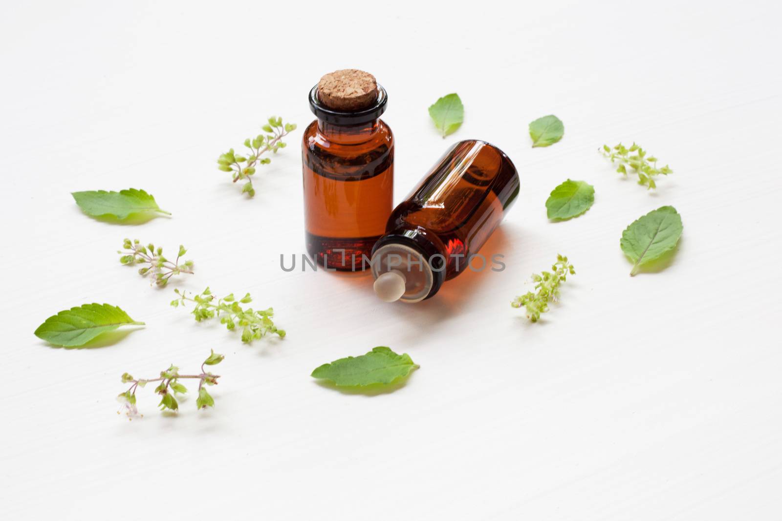 Holy Basil Essential Oil in a Glass Bottle with Fresh Holy Basil leaves and flower on white background.