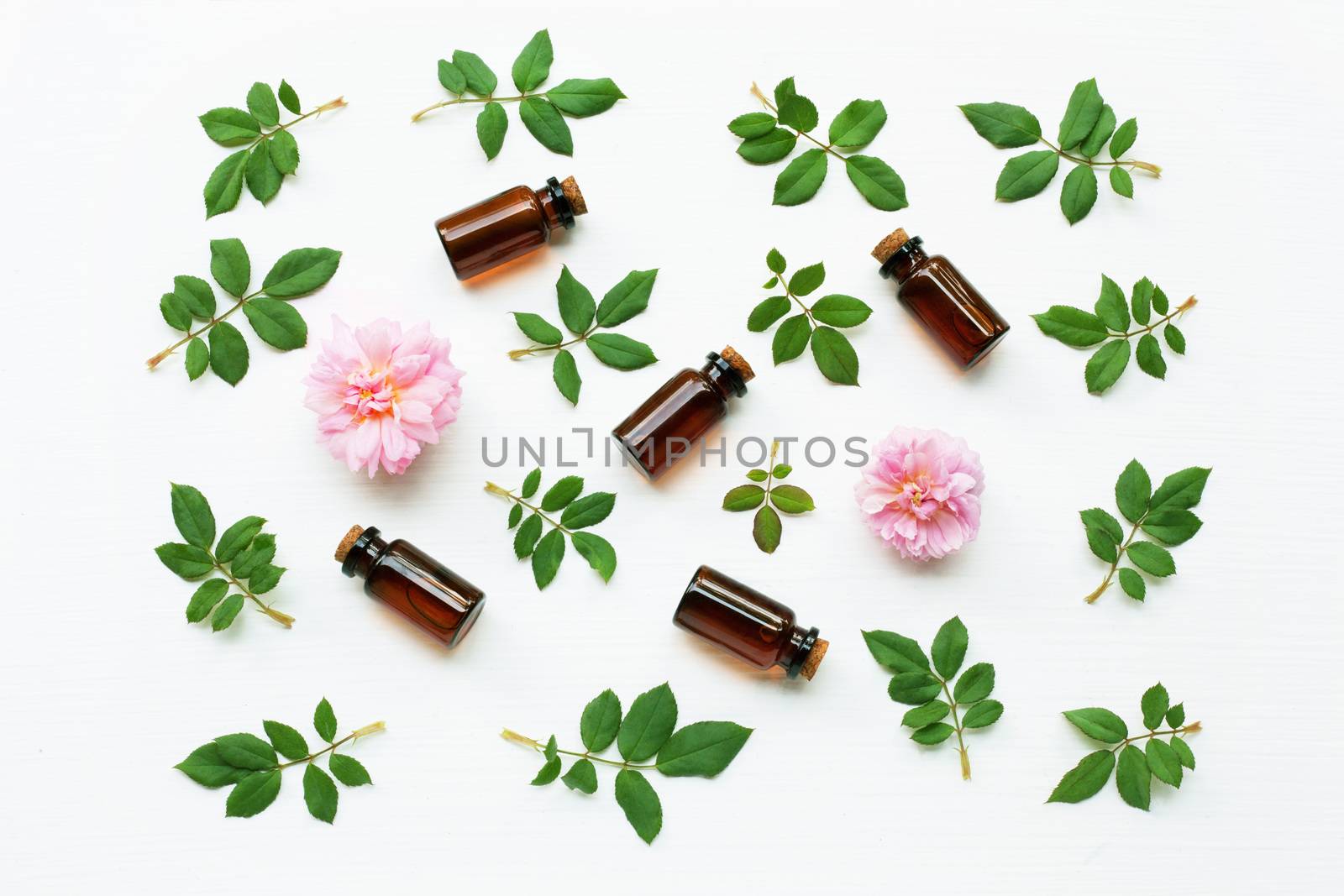 Bottles of essential rose oil for aromatherapy, Huntington Rose.