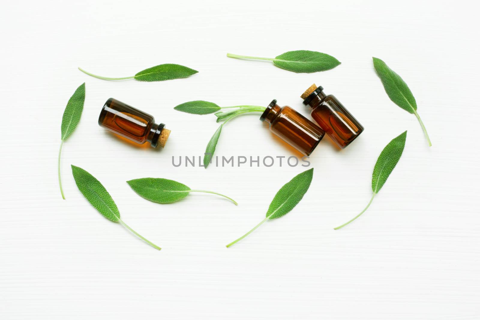 Natural sage essential oil with sage leaves on white  blackground.