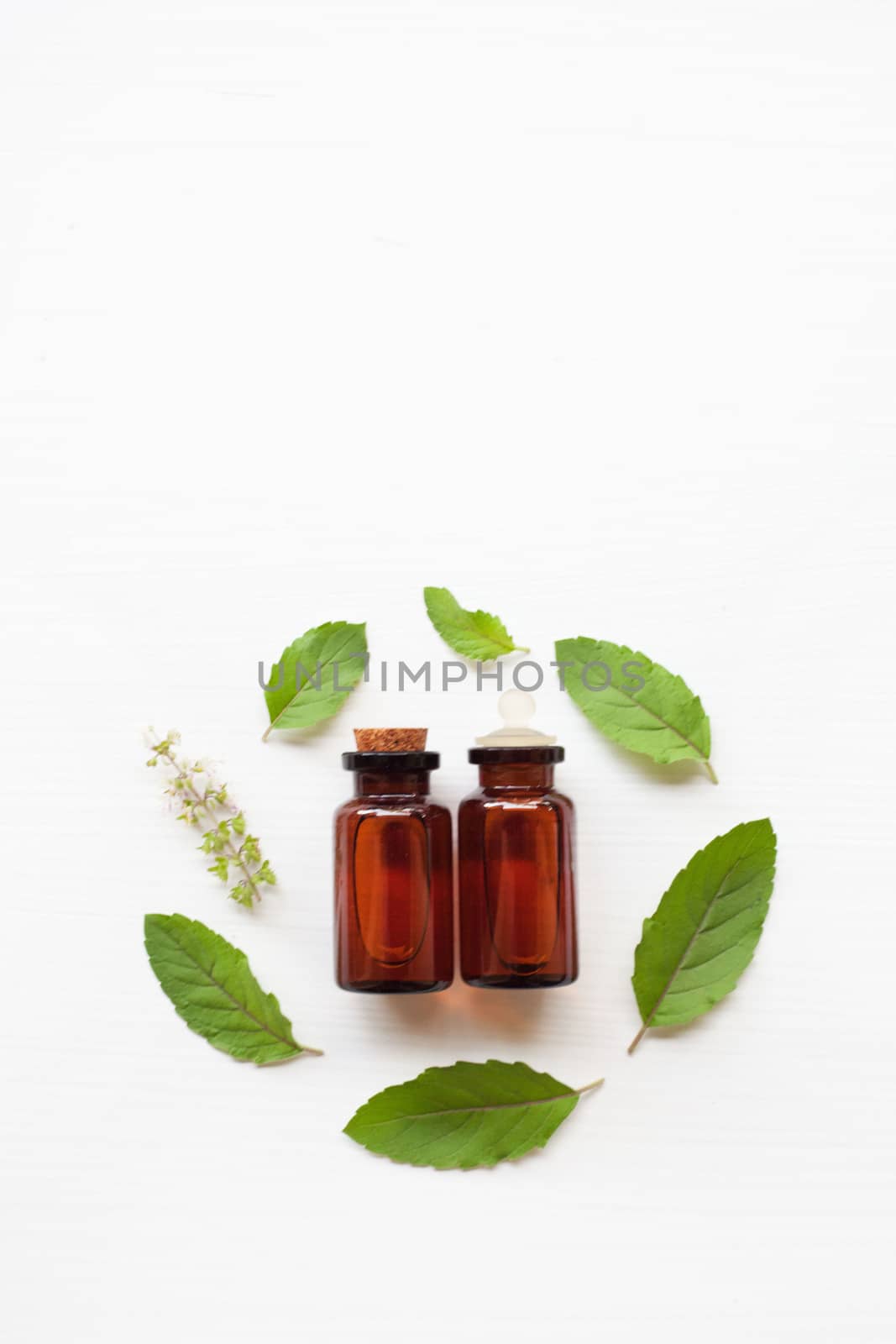 Holy basil essential oil with  fresh leaves.