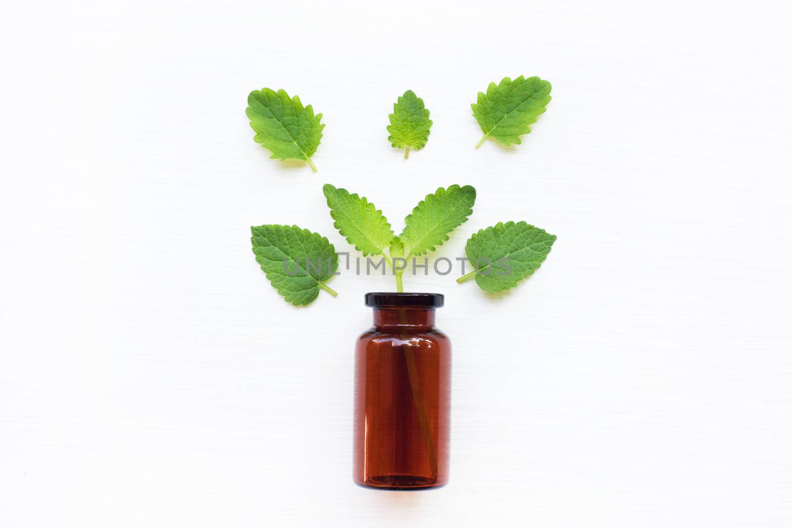 A bottle of melissa lemon balm essential oil with fresh  leaves. Top view
