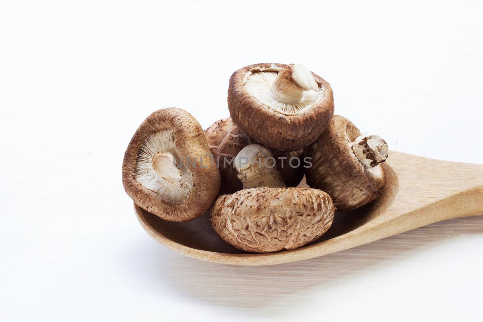 Shiitake mushrooms isolated on white background.
