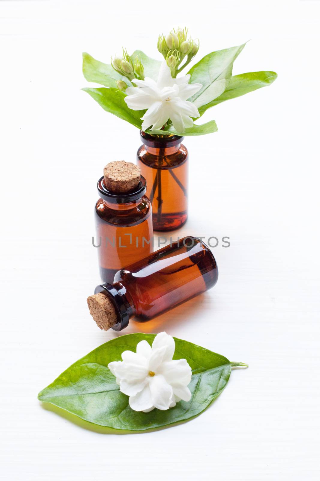 Essential oil with jasmine  flower on white background.