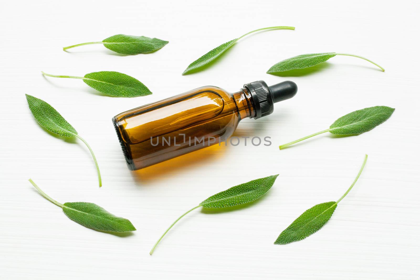 Natural sage essential oil with sage leaves on white  blackground.