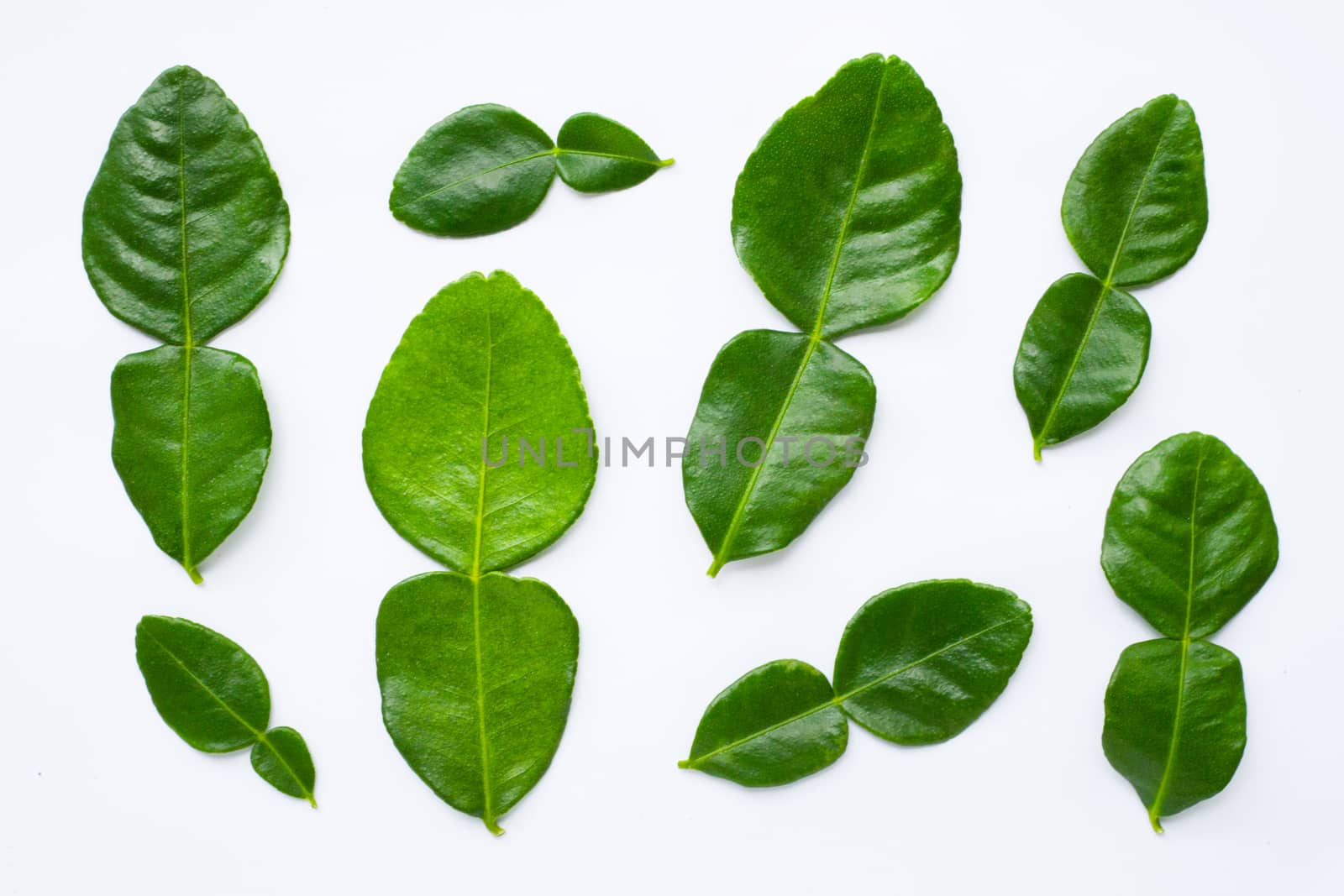 Bergamot kaffir lime leaves herb fresh ingredient isolated.