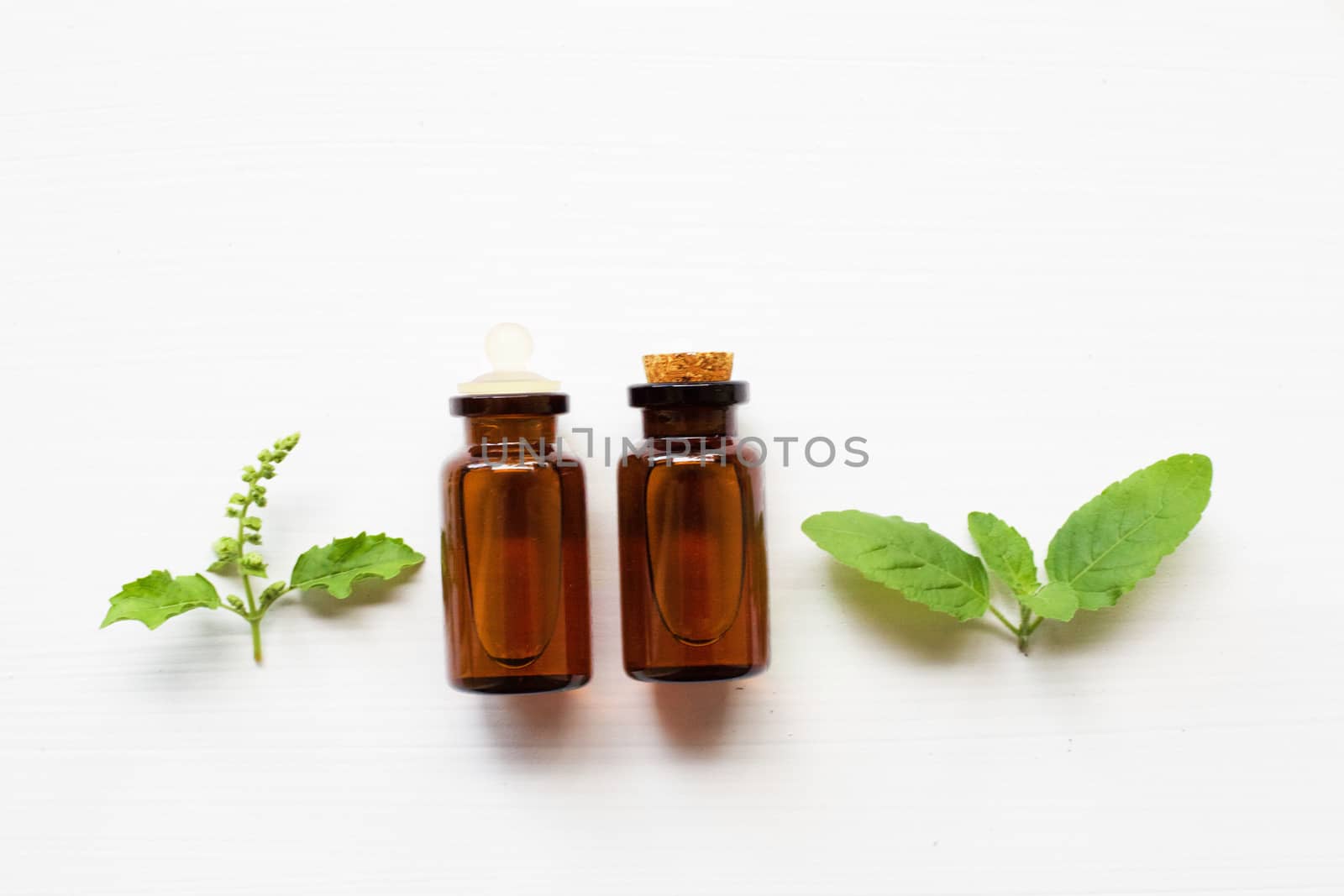 Holy basil essential oil with  fresh leaves.