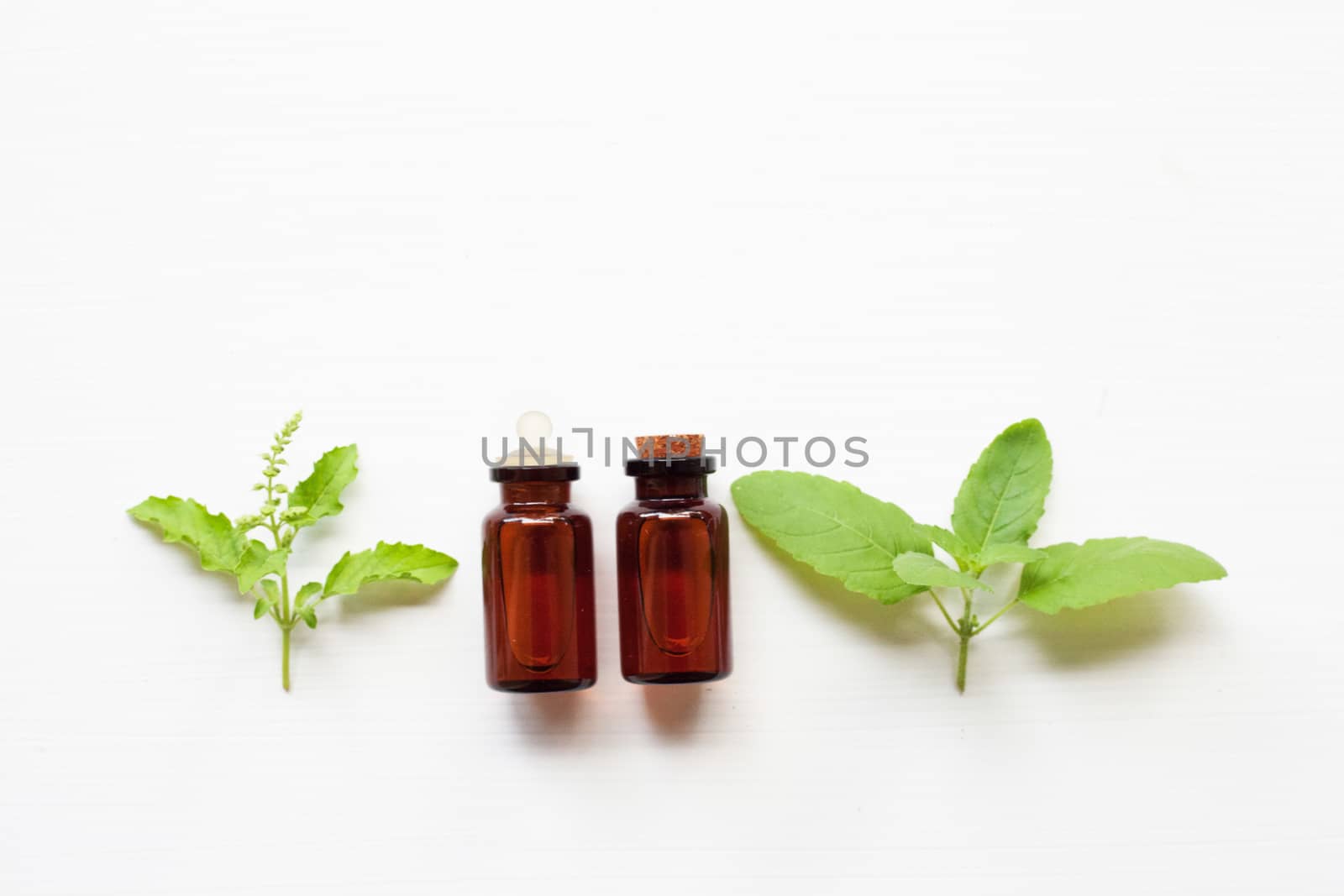 Holy basil essential oil with  fresh leaves.