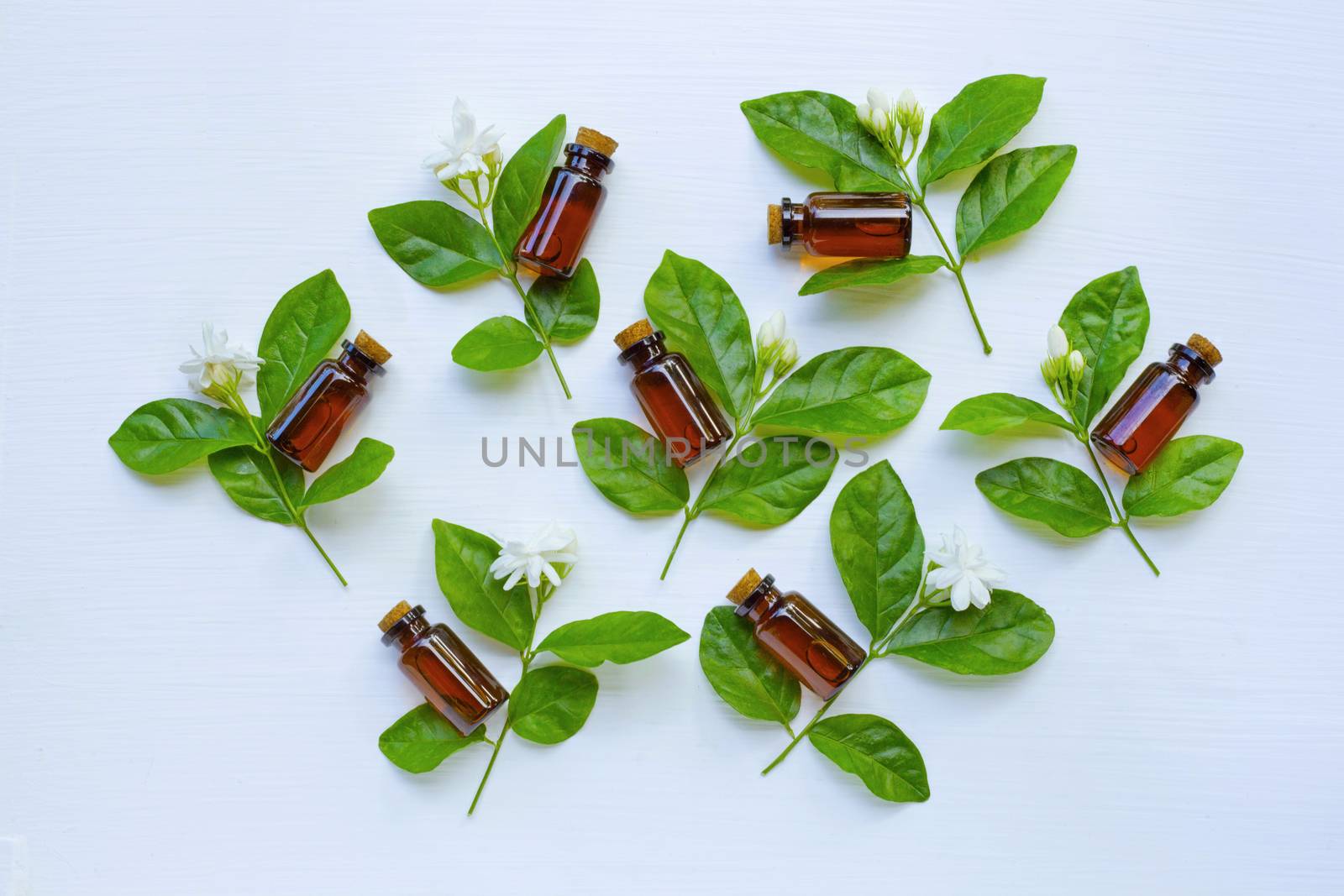 Bottle of essential oil with jasmine flower and leaves on white background.