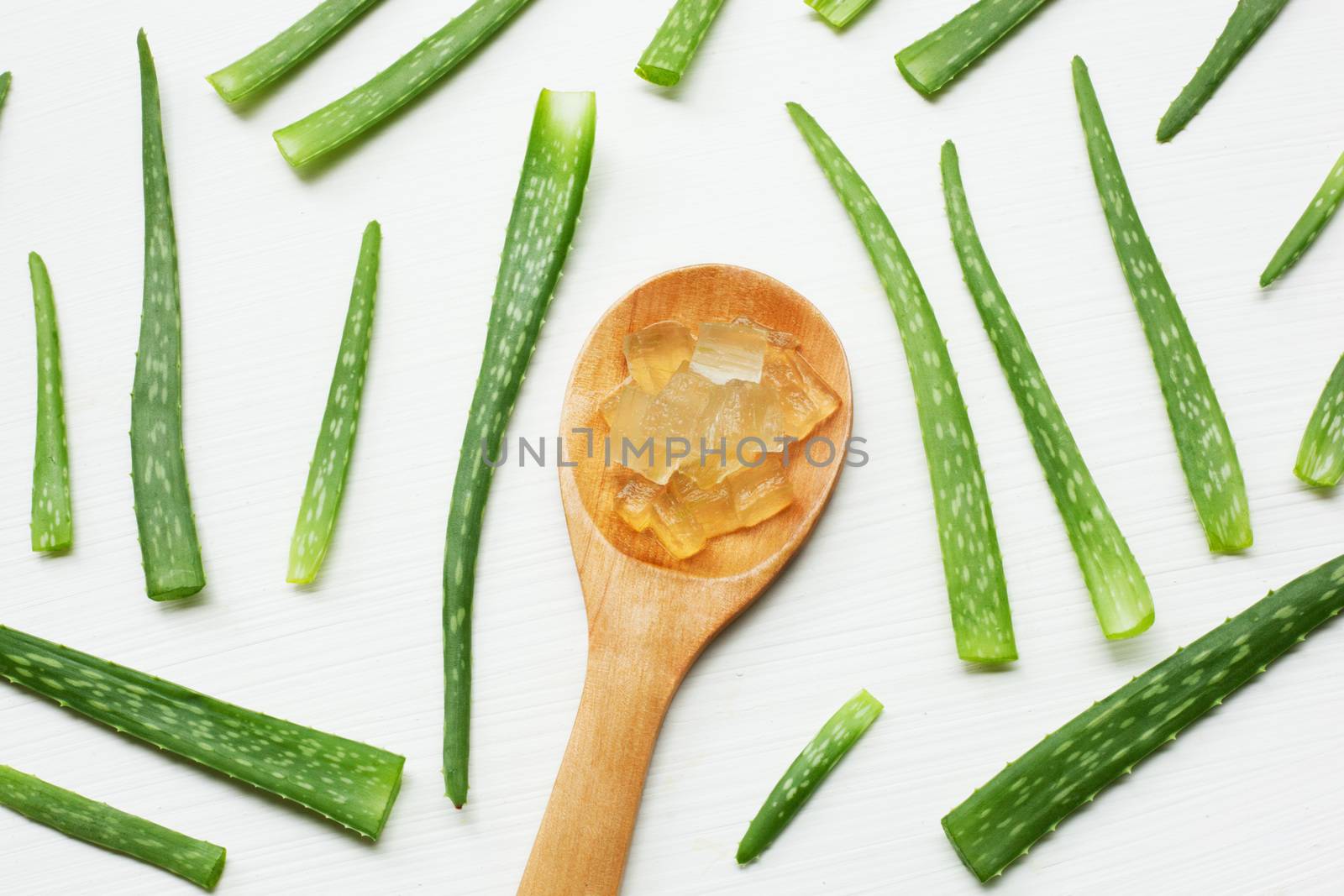 Aloe vera  on white background.