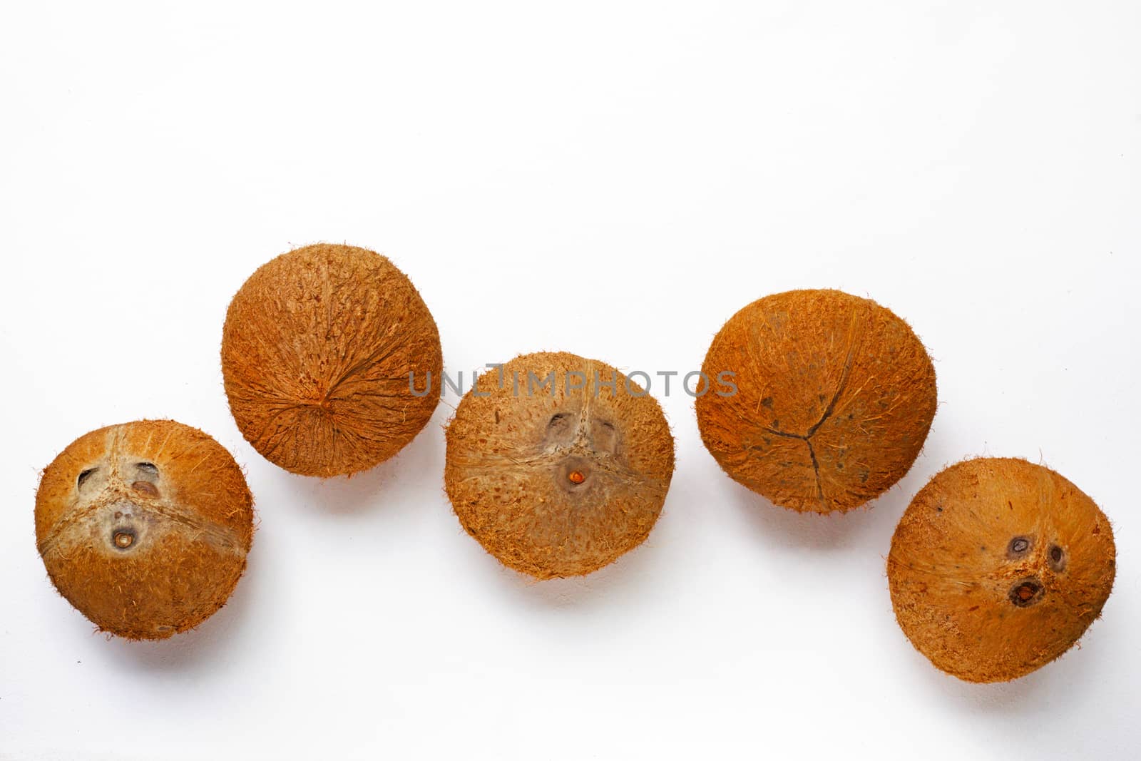 Coconuts isolated on the white background. top view