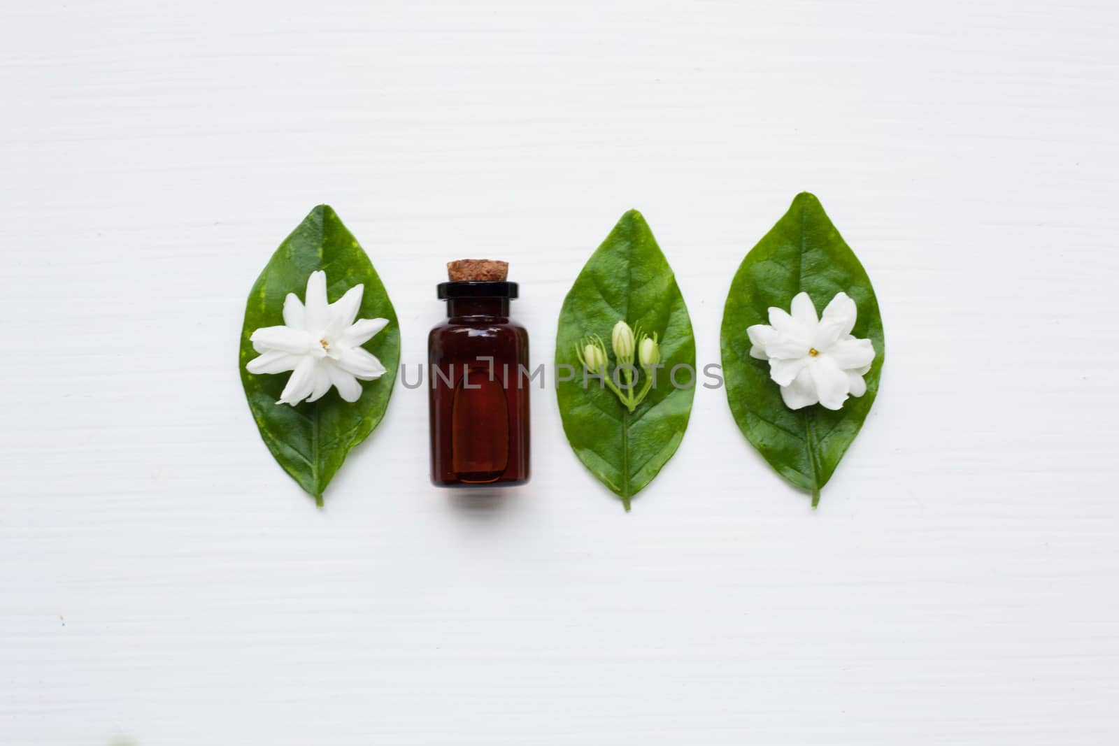 Essential oil with jasmine  flower on white background.