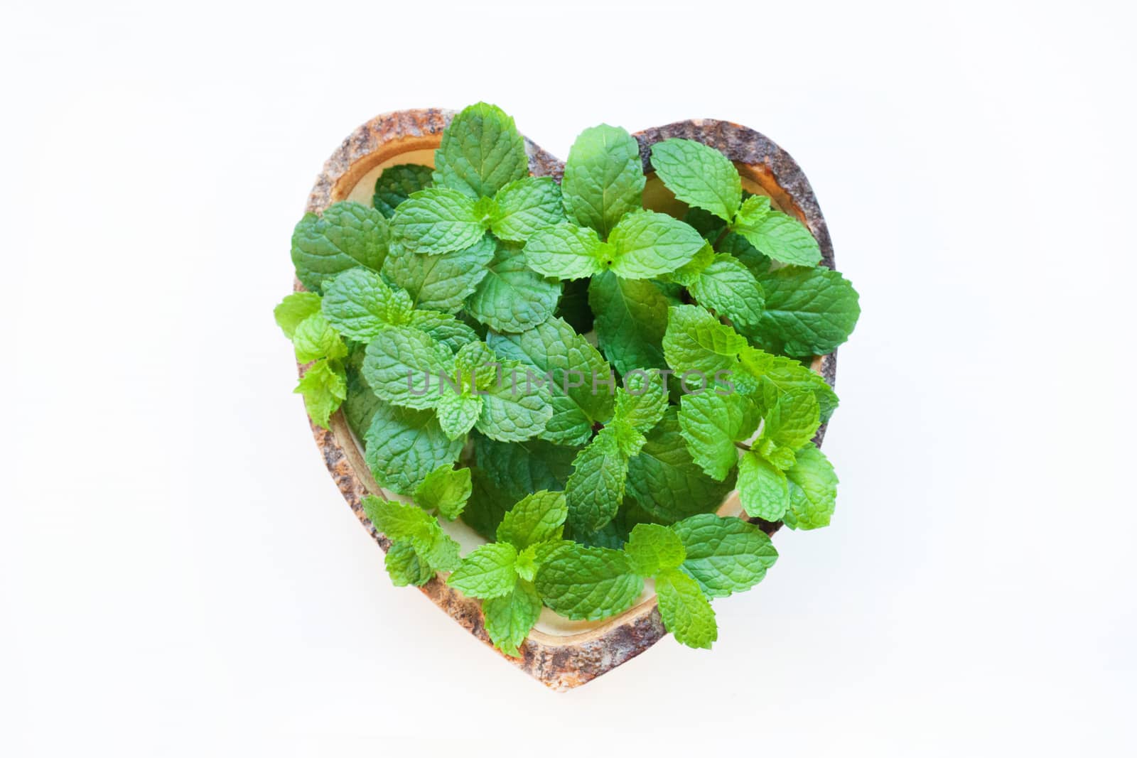 Mint on white background.