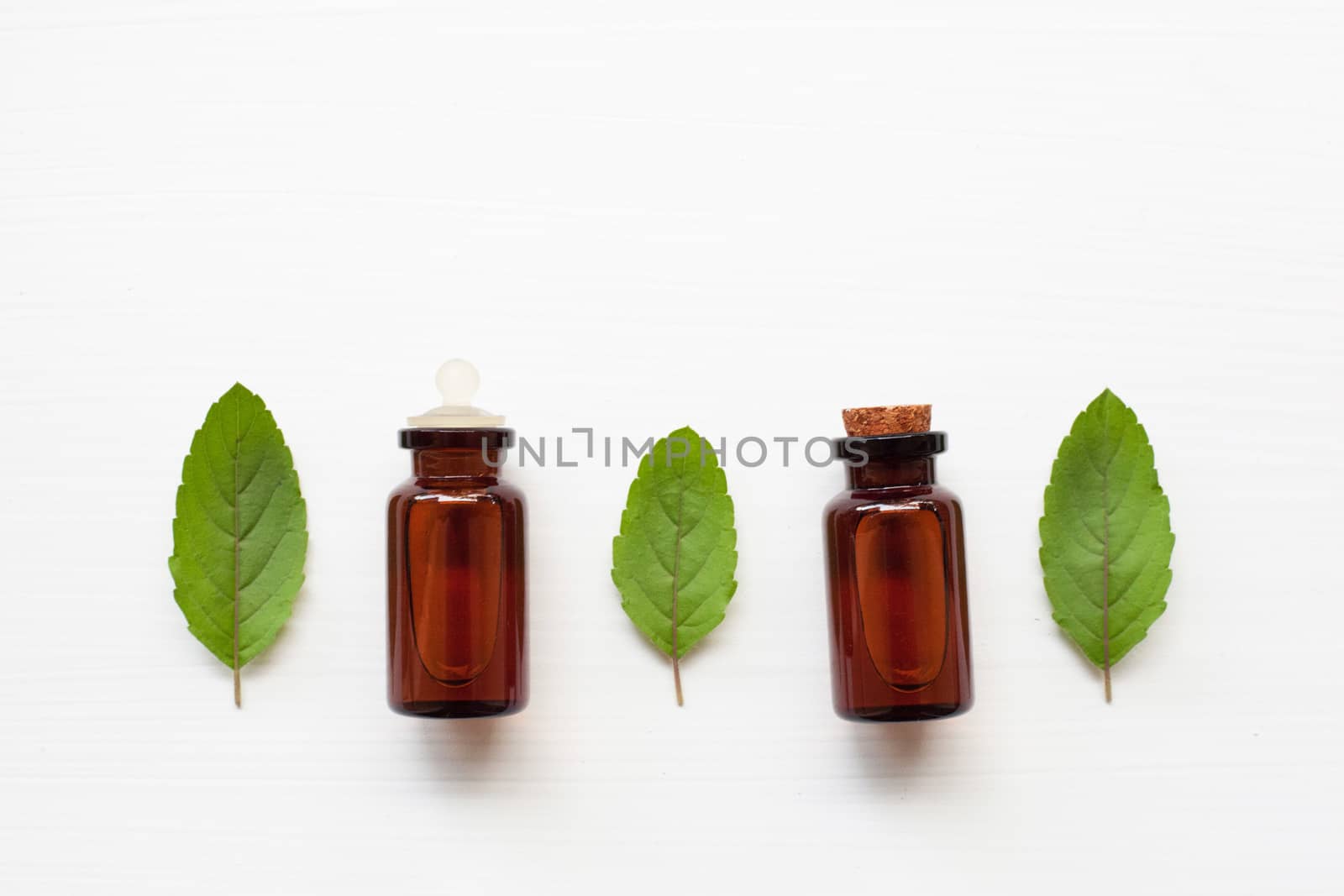 Holy basil essential oil with  fresh leaves.