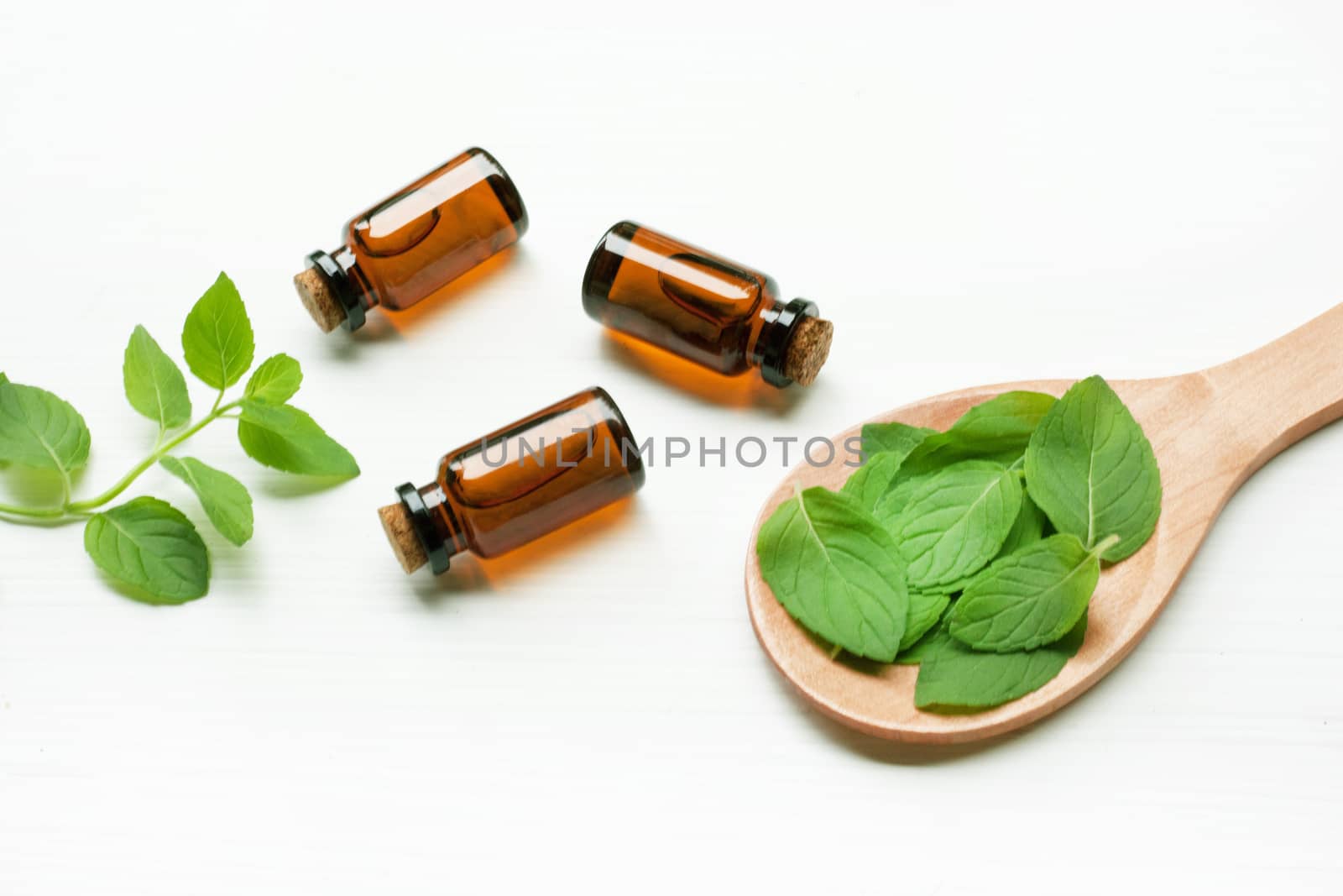 Mint Essential Oil in a Glass Bottle with leaves on white background.