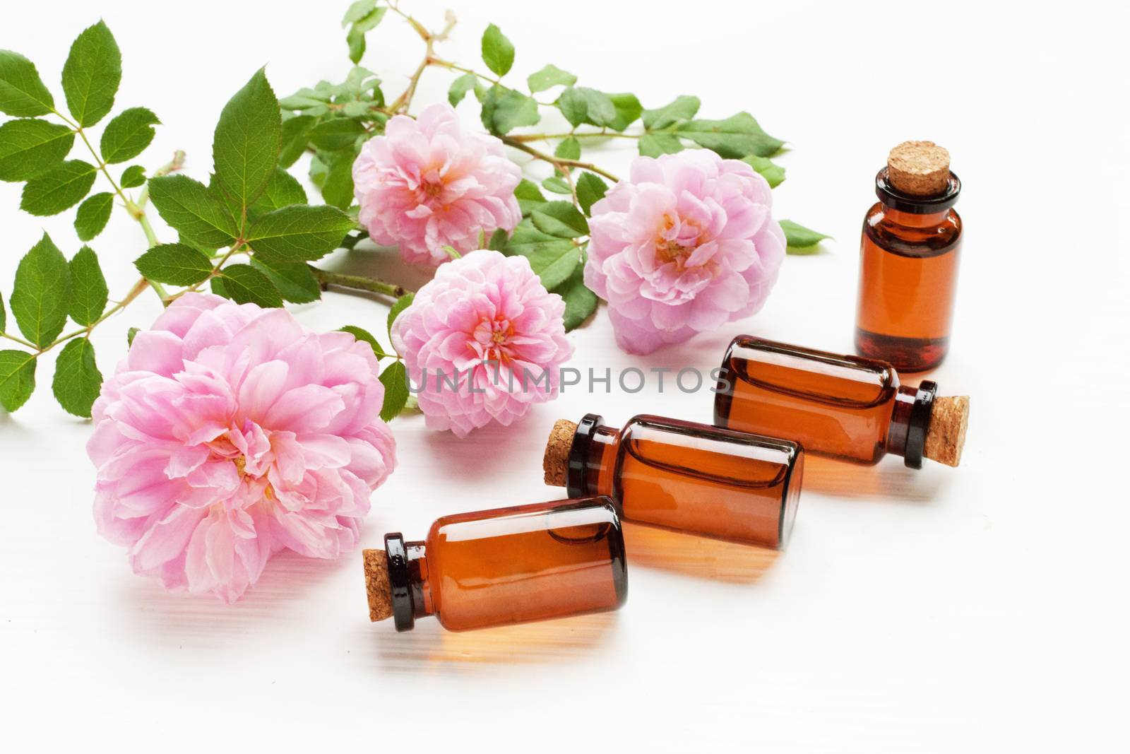 Bottles of essential rose oil for aromatherapy, Huntington Rose.