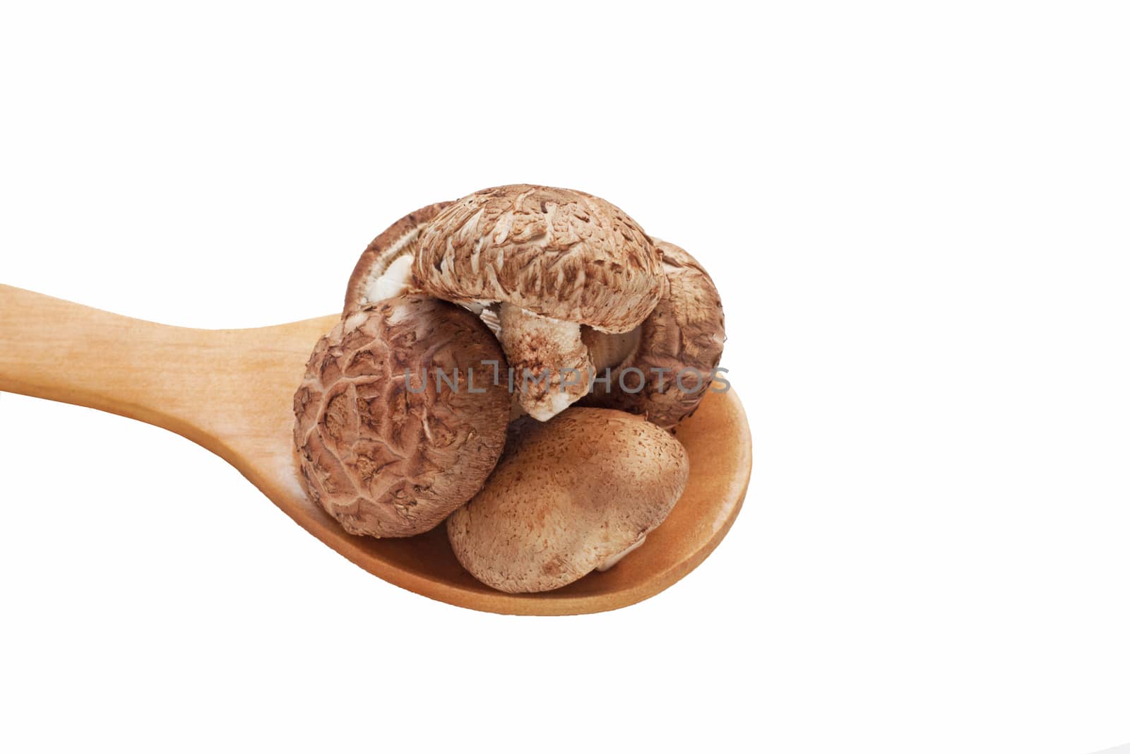Shiitake mushrooms on wooden spoon  isolated on white background.