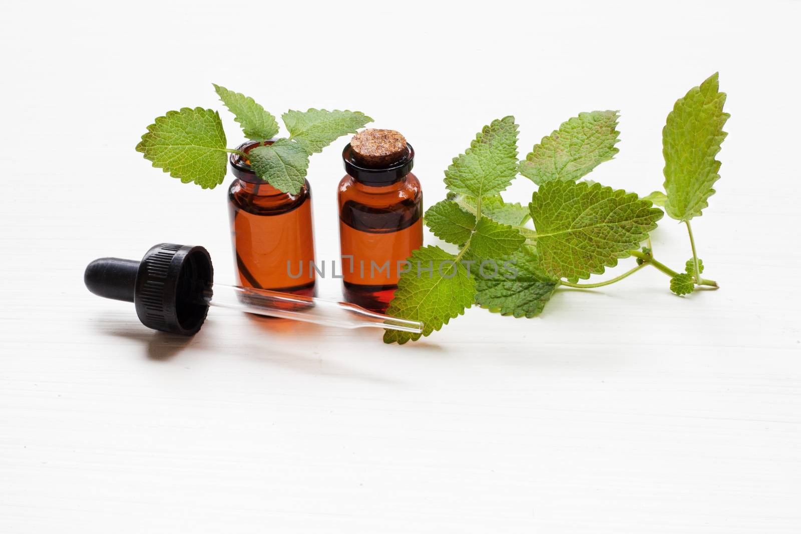 Melissa lemon balm essential oil with fresh leaves.