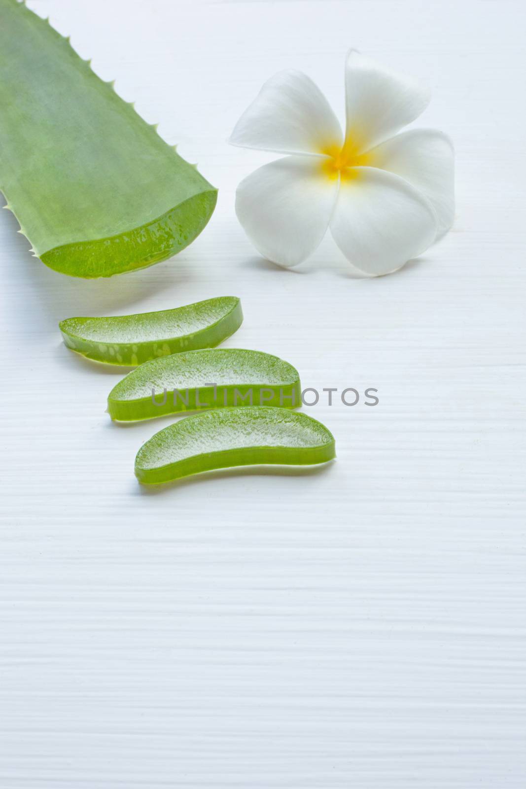 Aloe Vera sliced and leaf isolated on white background.