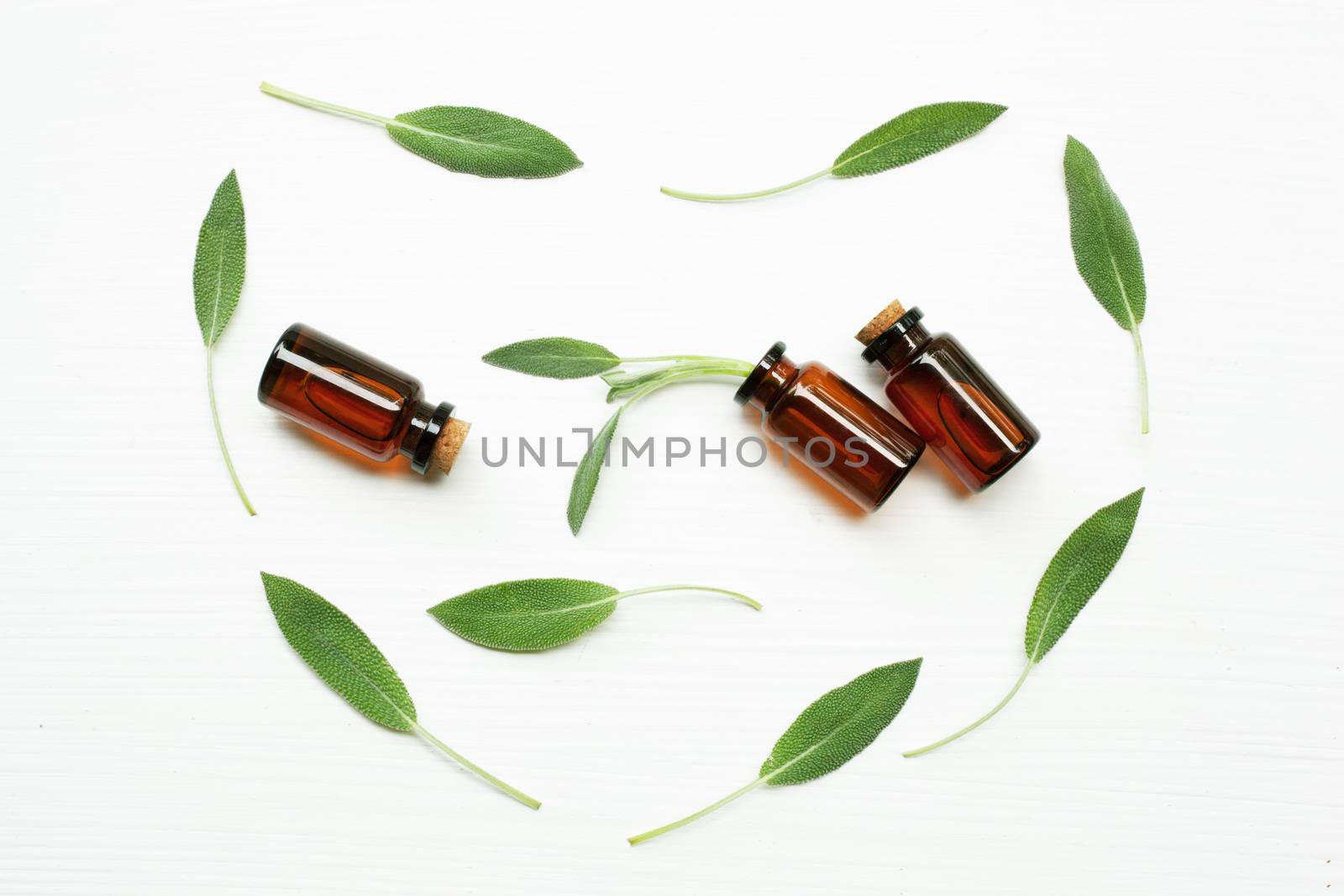 Natural sage essential oil with sage leaves on white  background.