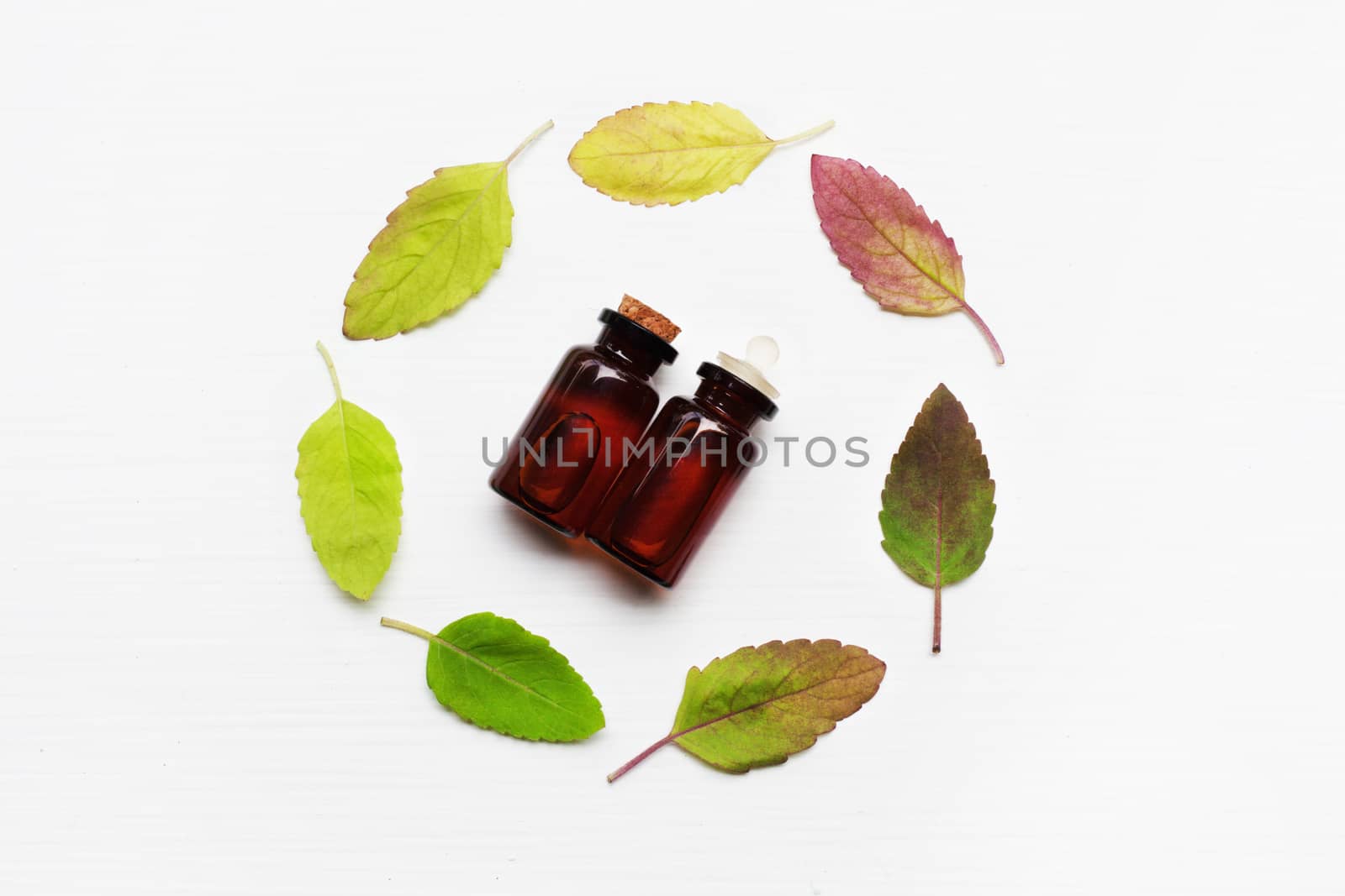 Holy basil essential oil with  colorful leaves  on white background.