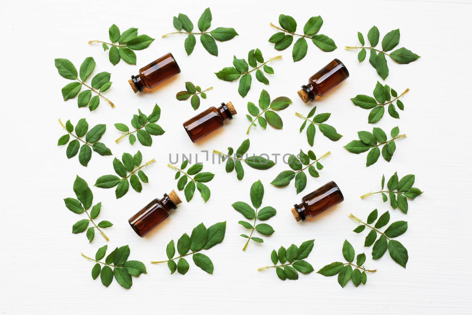 Bottles of essential rose oil for aromatherapy, Huntington Rose leaf.
