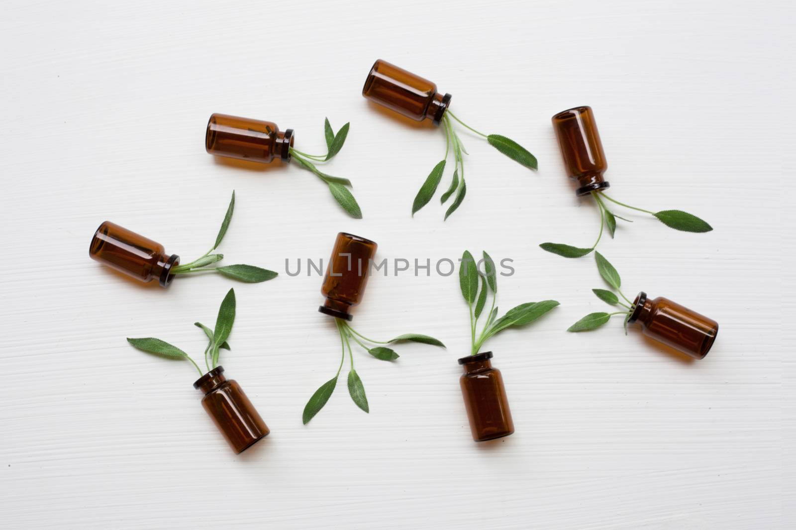 Natural sage essential oil with sage leaves on white  background.