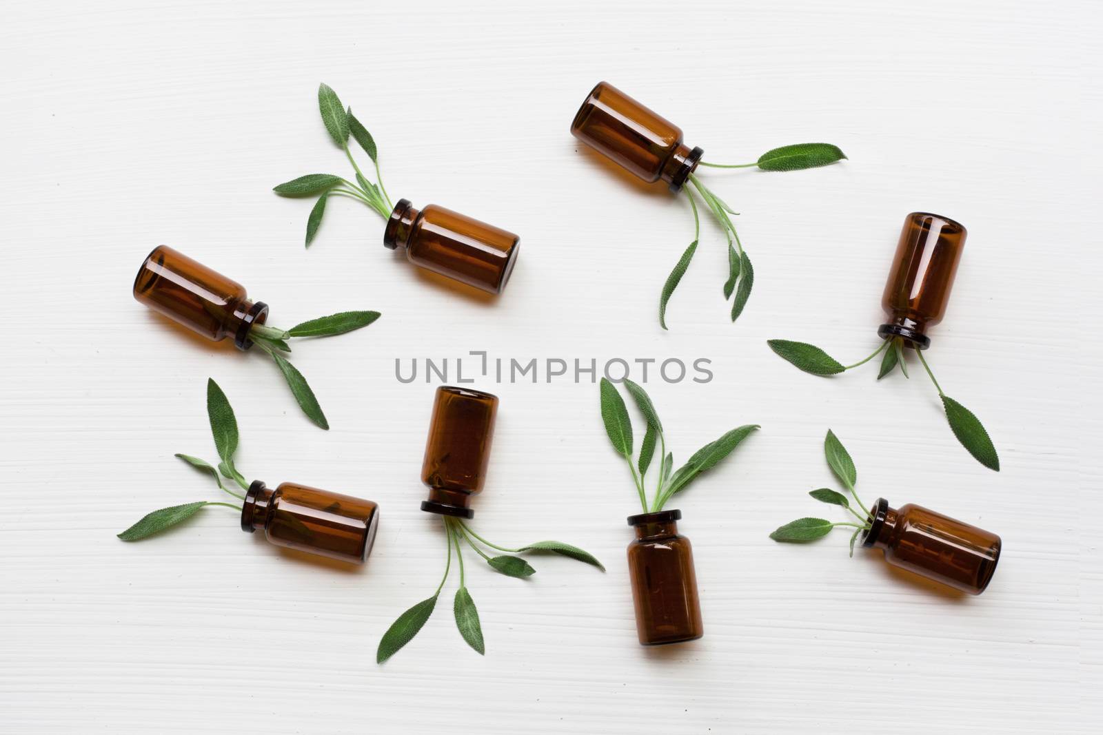 Natural sage essential oil with sage leaves on white  background.