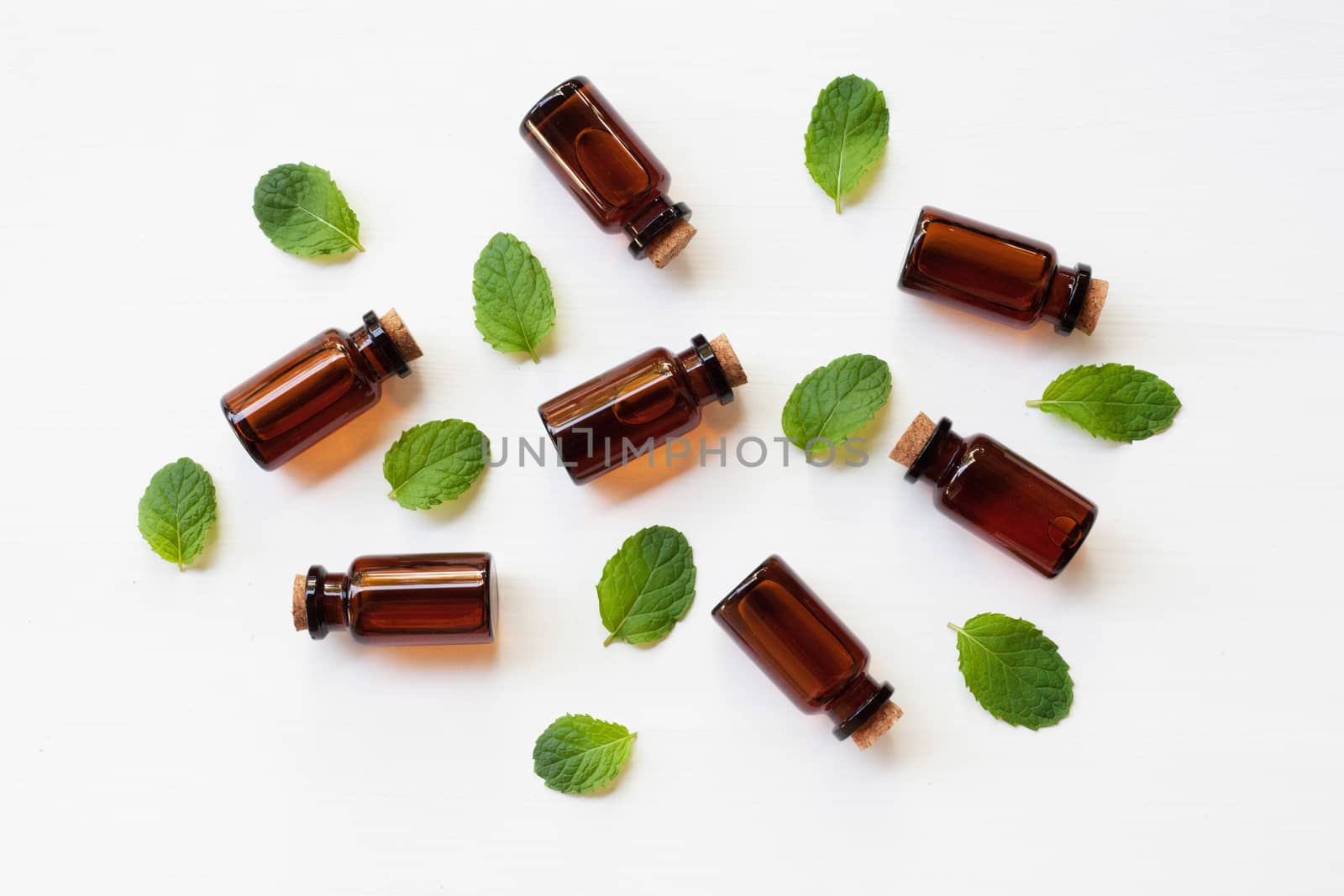 Mint Essential Oil in a Glass Bottle with leaves on white background.