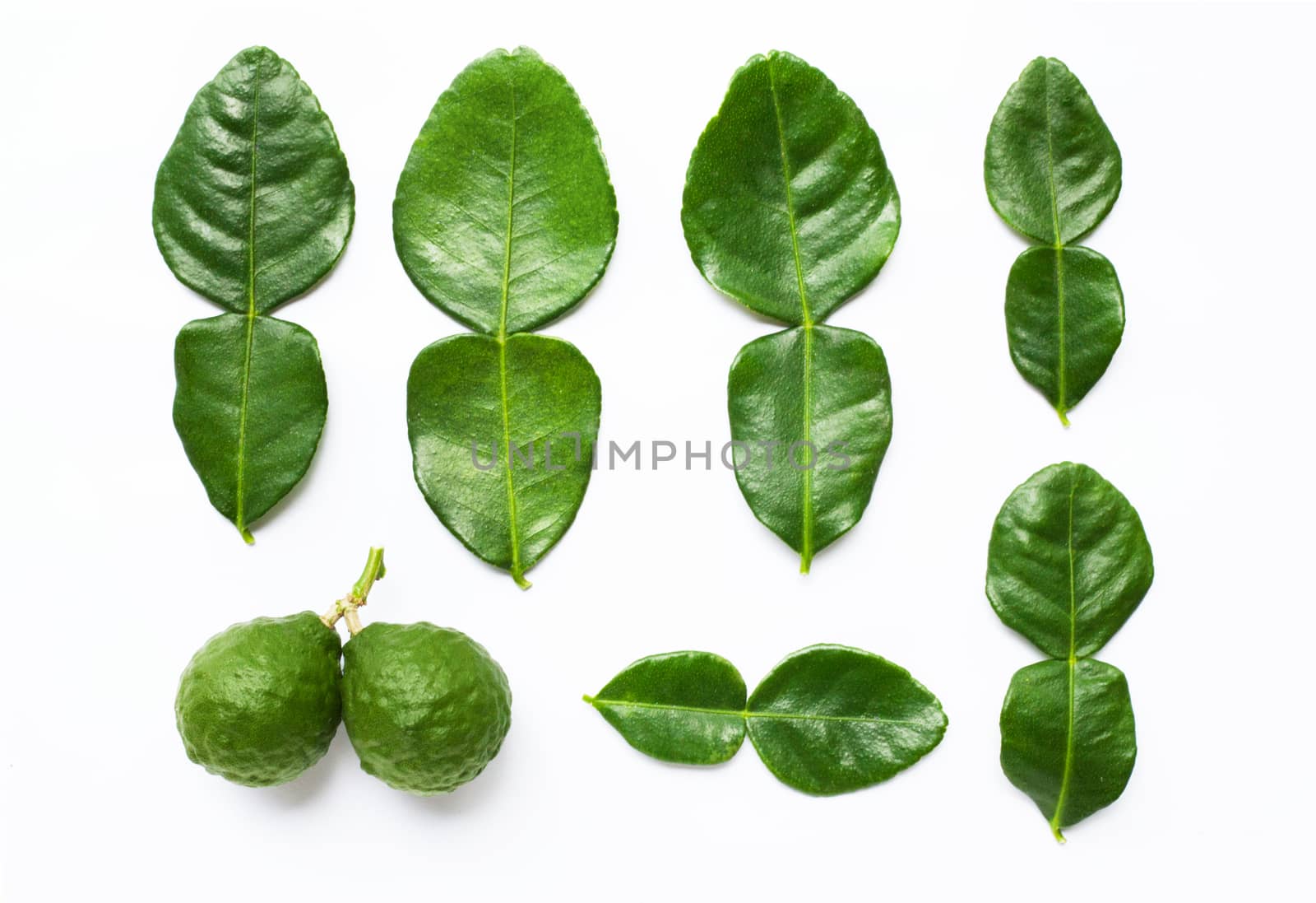 Bergamot kaffir lime leaves herb fresh ingredient isolated on white background.