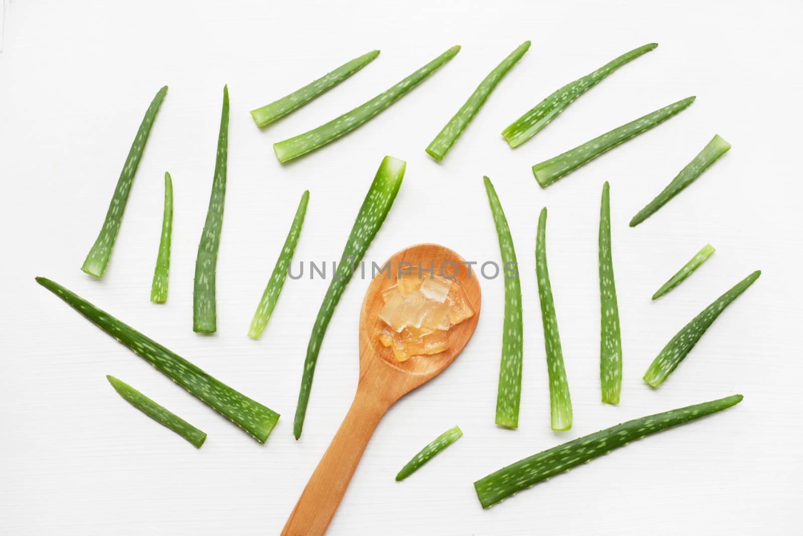Aloe vera  on white background.