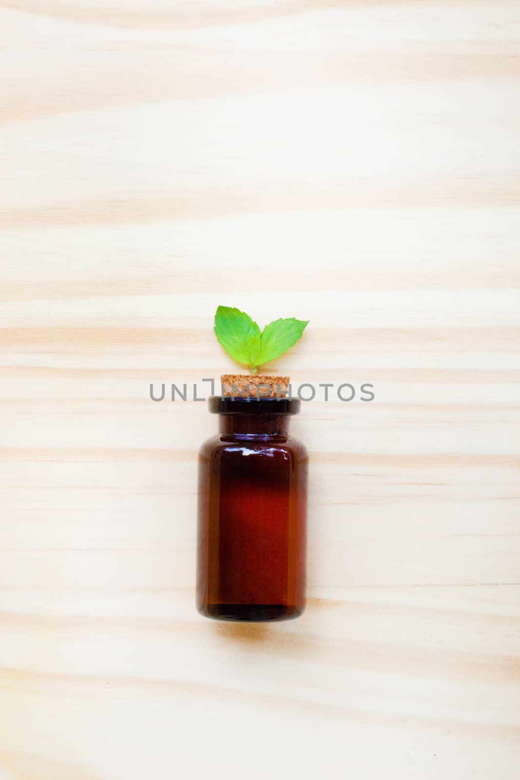 Mint Essential Oil in a Glass Bottle with leaves on white background.