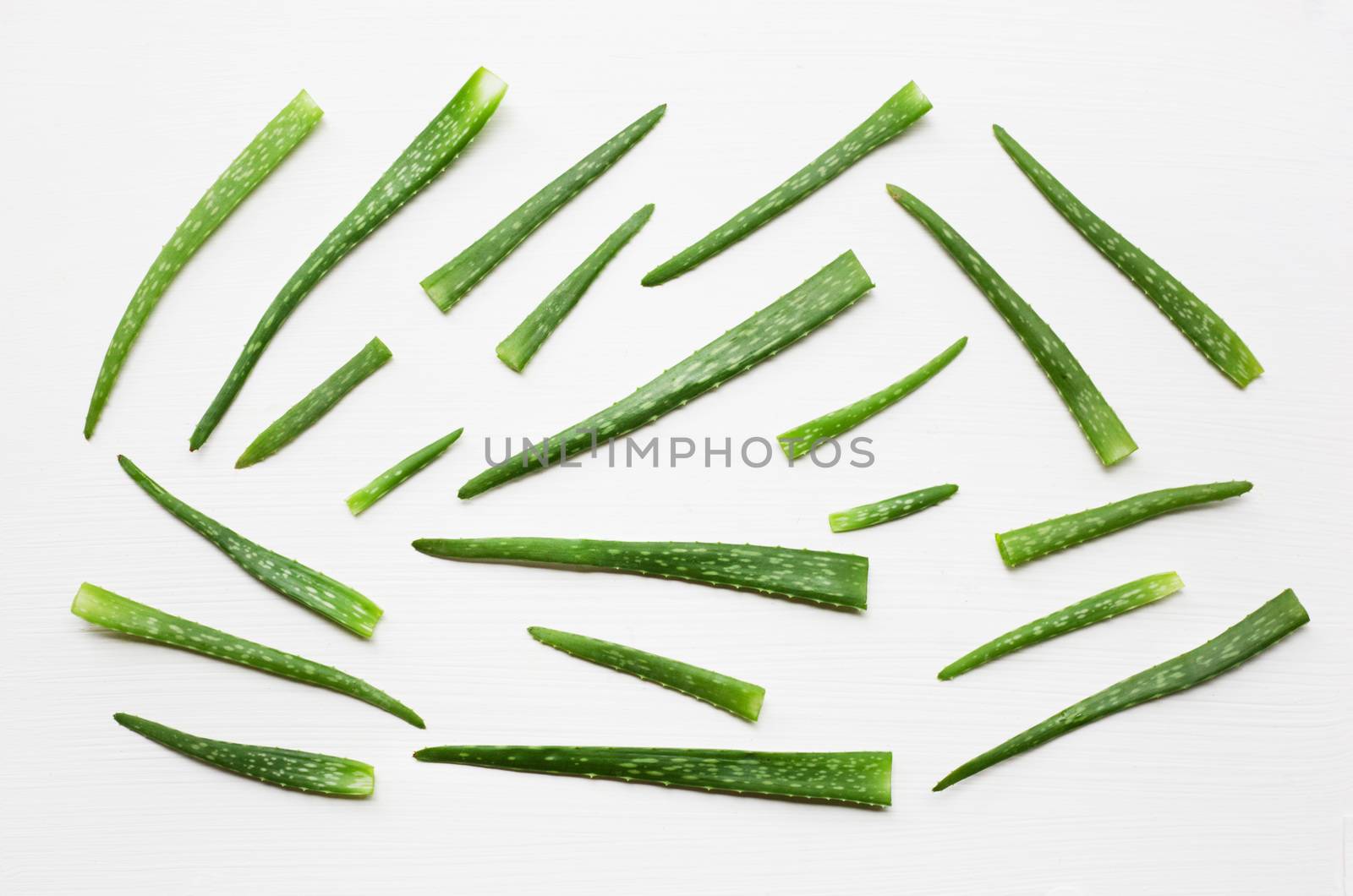 Aloe vera  on white background.