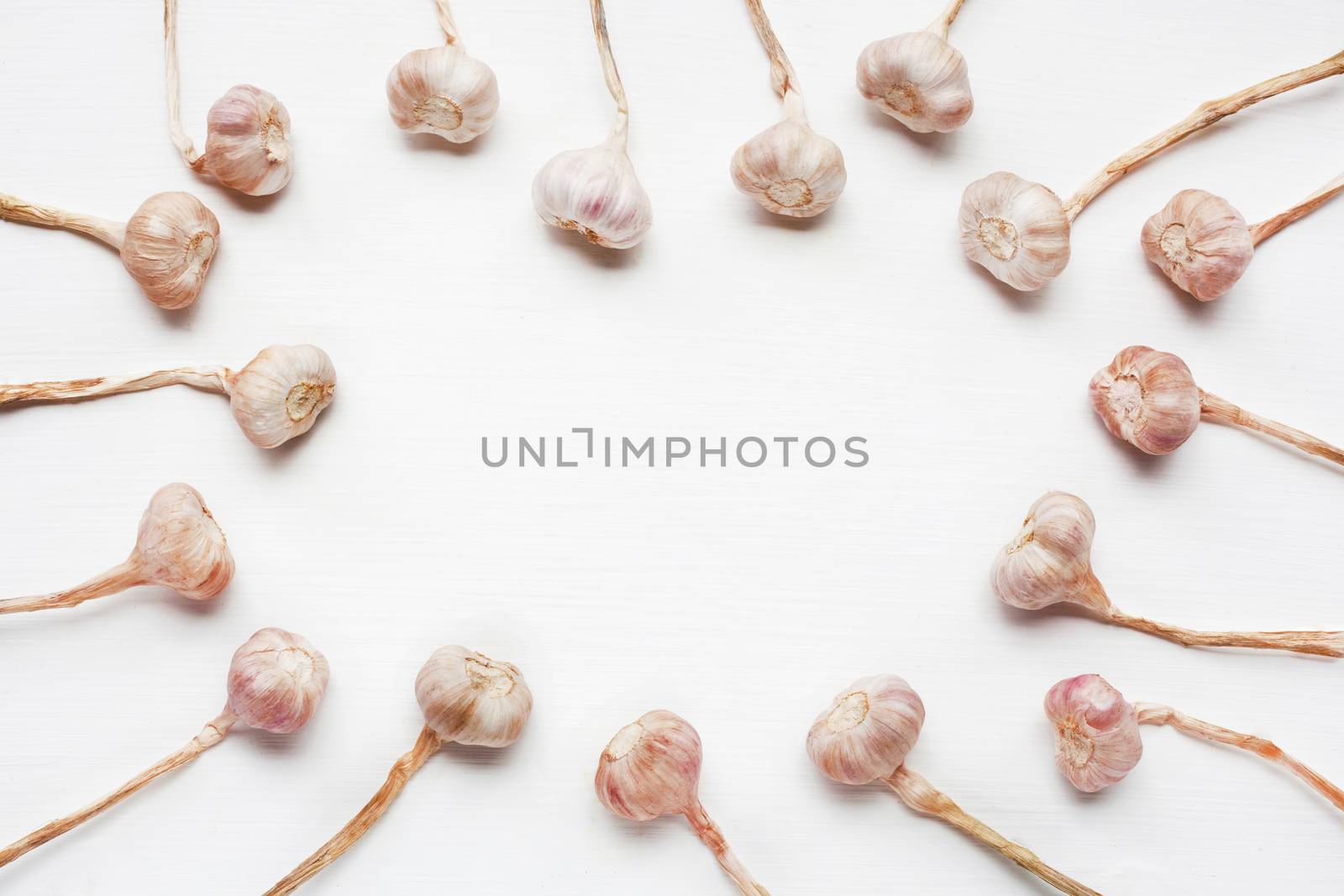 Garlic on white wooden background.