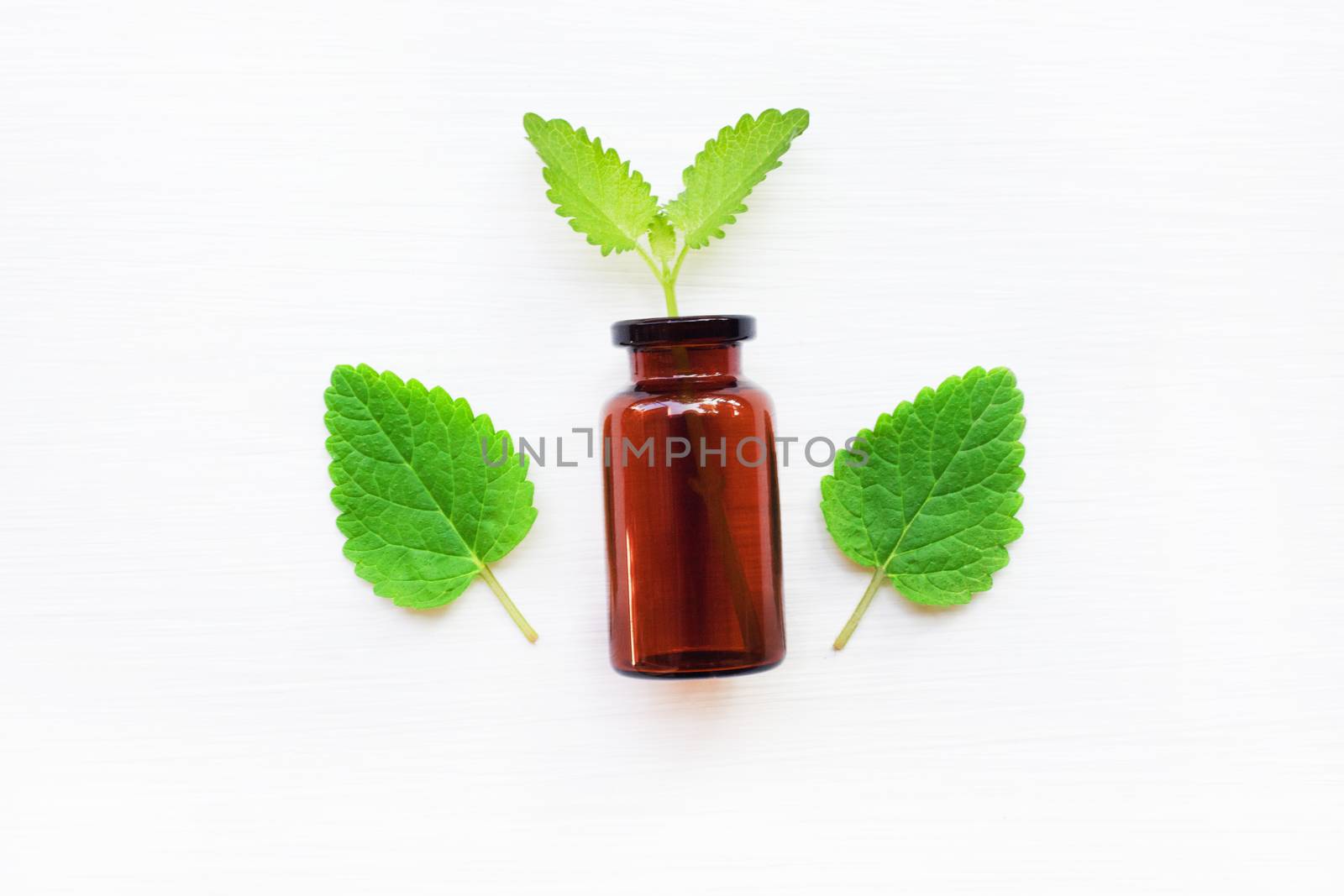 A bottle of melissa lemon balm essential oil with fresh  leaves.