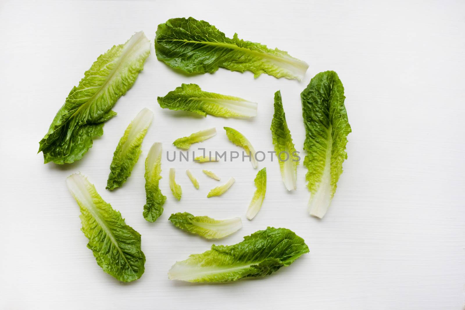 Fresh romaine lettuce isolated on a white background